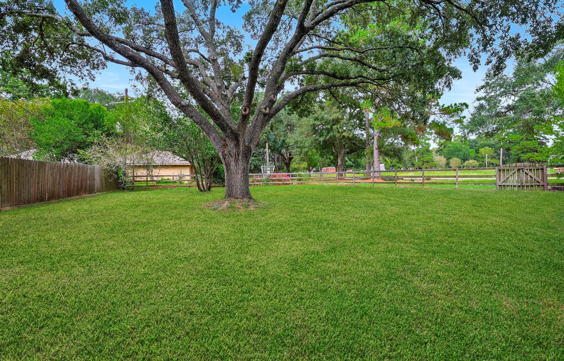 Fenced Back yard