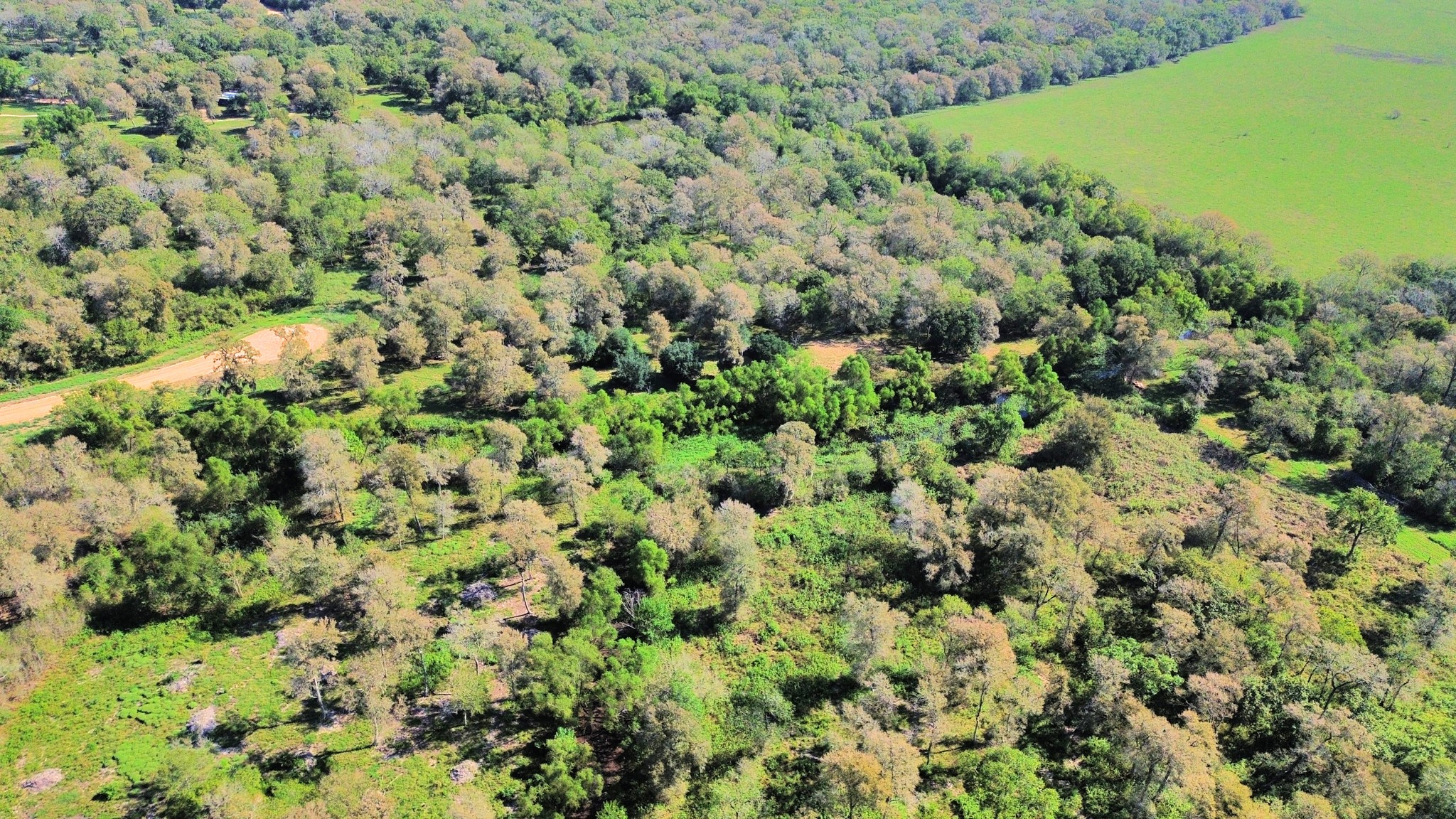 0 Laguna, Needville, TX 77461