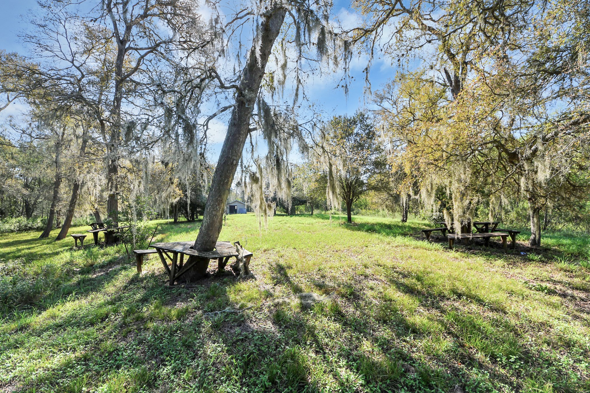 0 Laguna, Needville, TX 77461