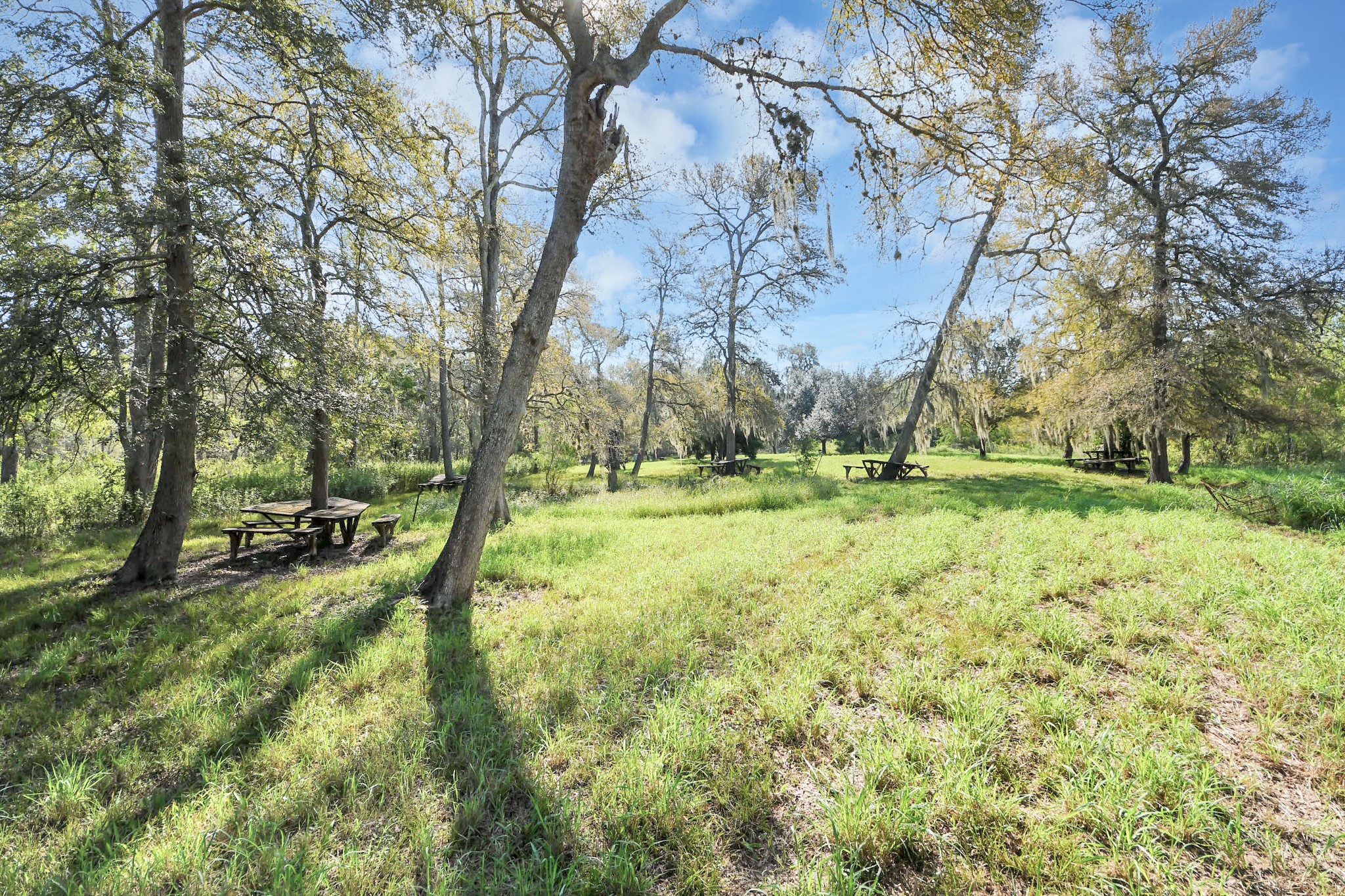 0 Laguna, Needville, TX 77461