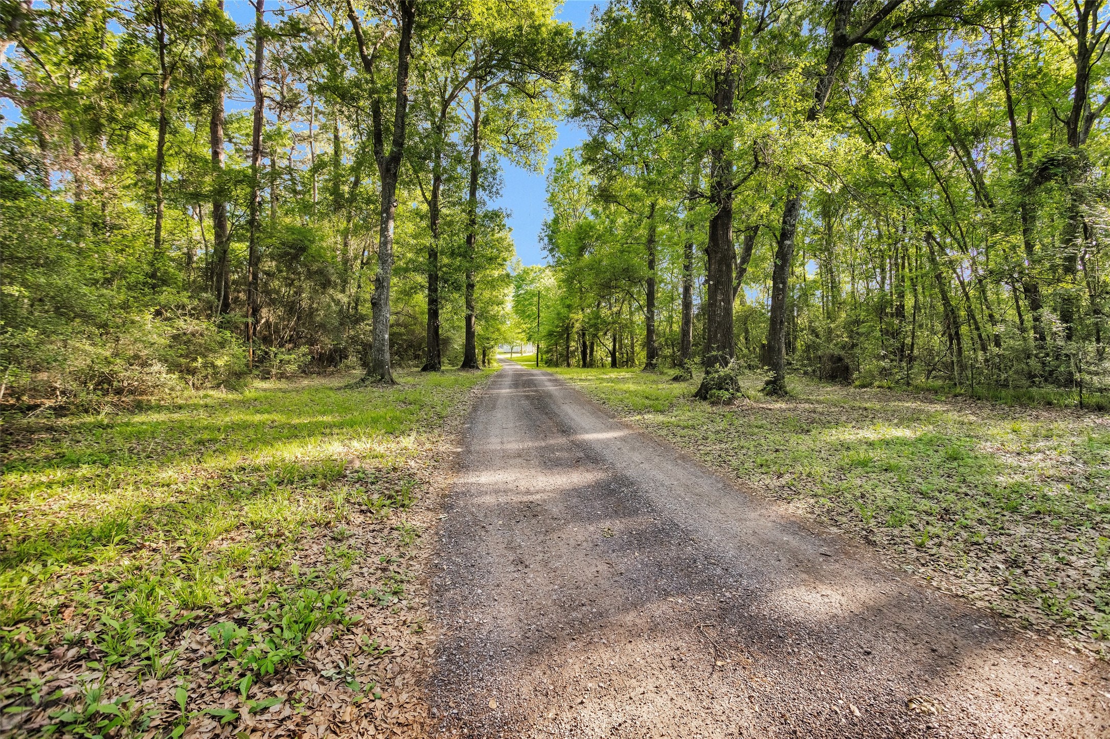 13250 FM 830, Willis, TX 77318