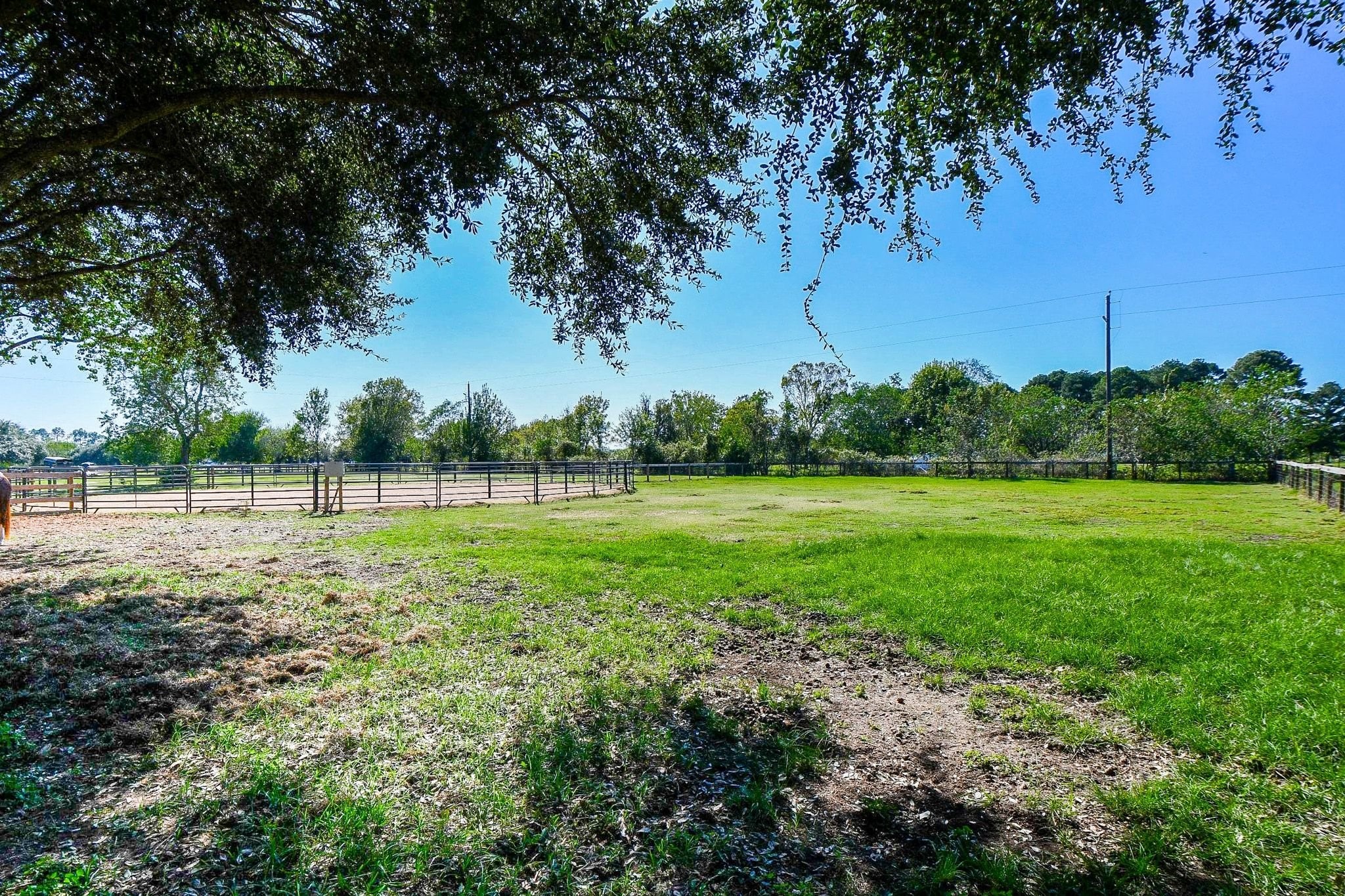 6310 Sprigg Street, Fulshear, TX 77441