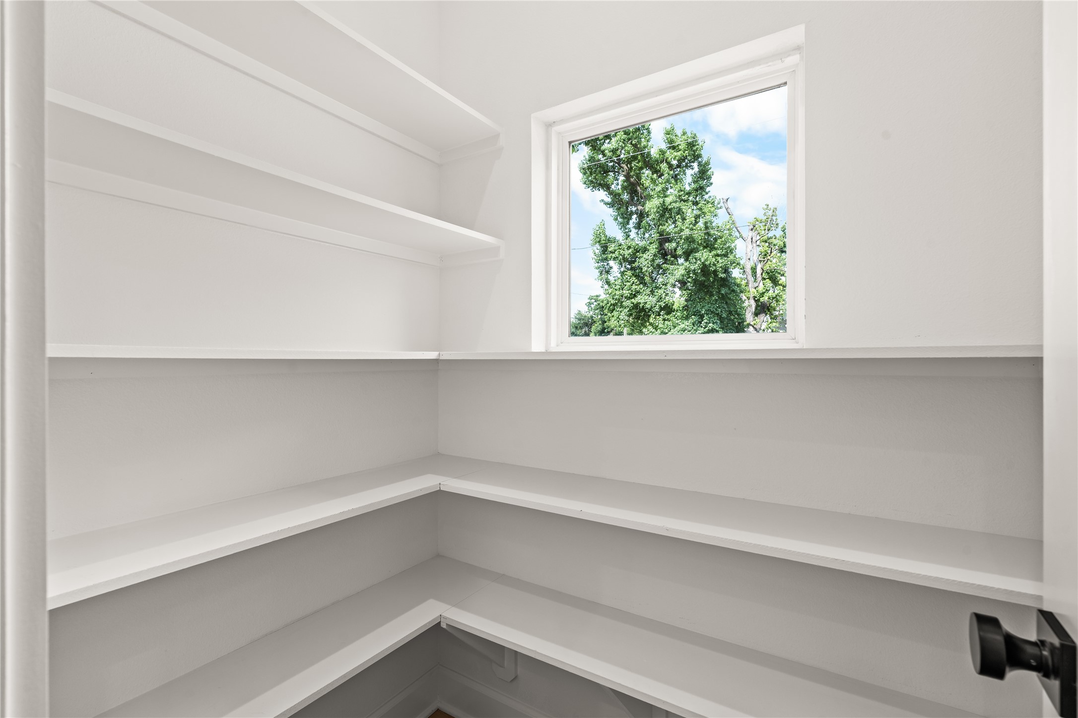 Bright, walk-in pantry featuring wrapped built-in shelving and a large window looking out at mature trees.