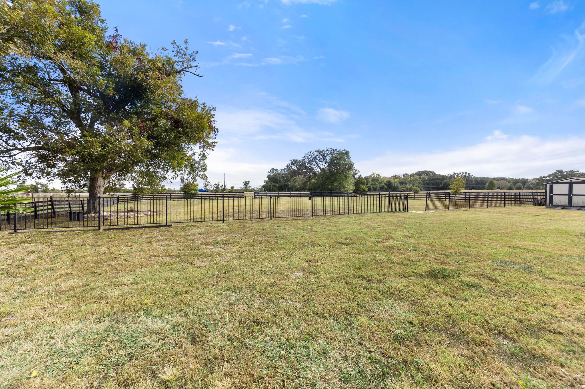Large Backyard