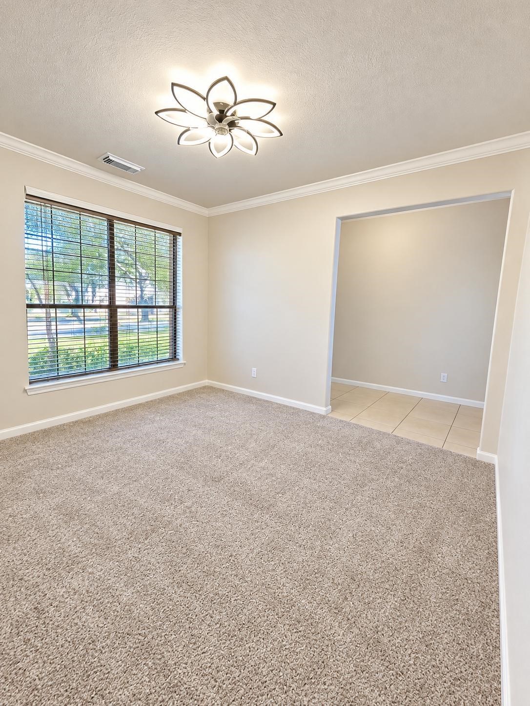 16343 Bettong Court, Sugar Land, TX 77498