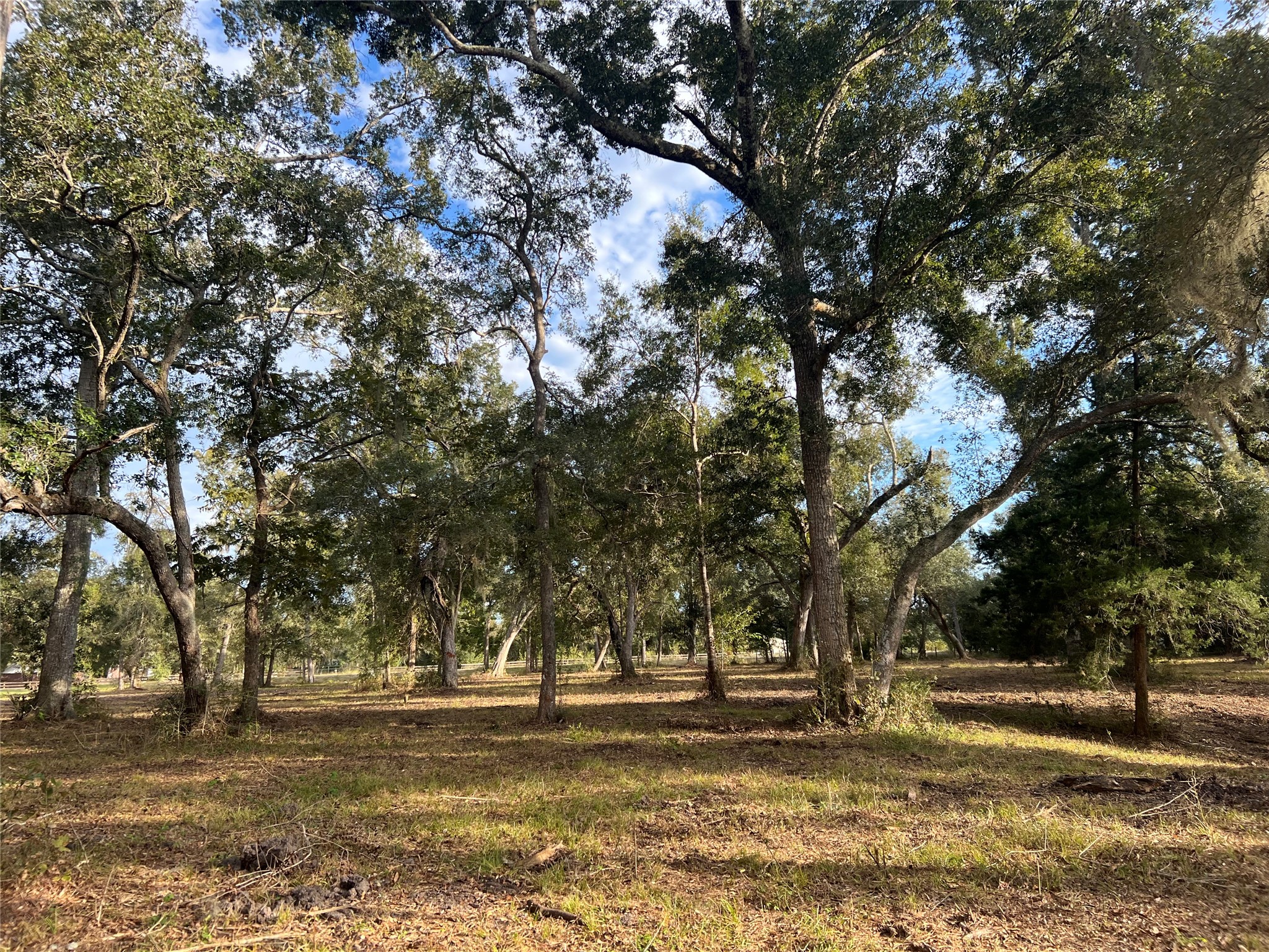 0 Cr-525, Sweeny, TX 77480