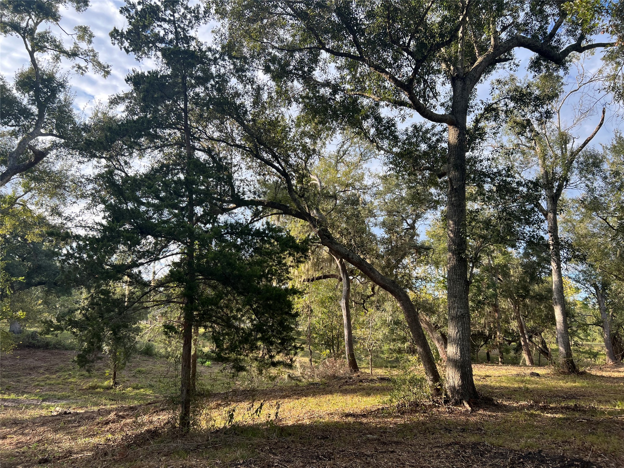 0 Cr-525, Sweeny, TX 77480