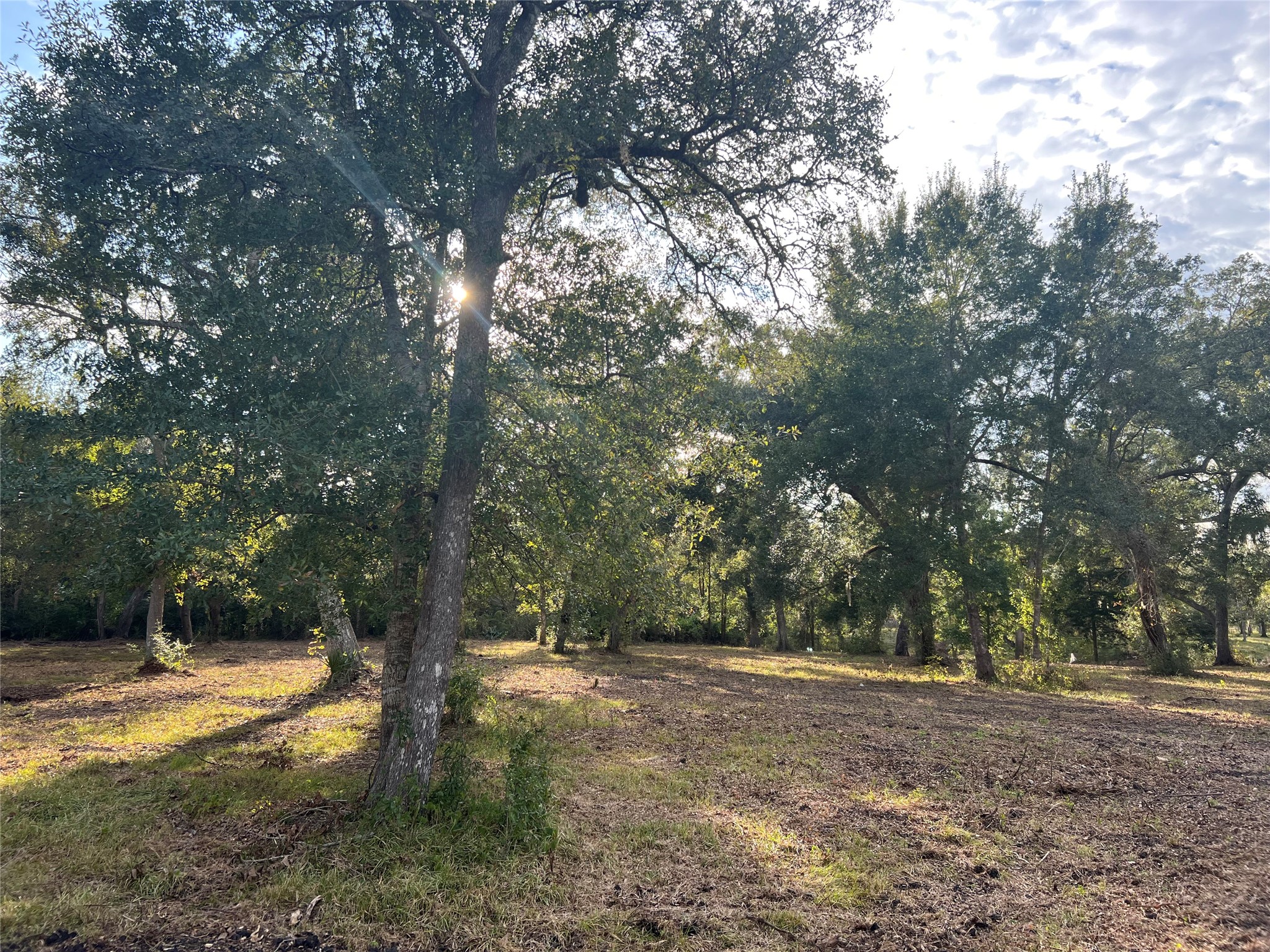 0 Cr-525, Sweeny, TX 77480