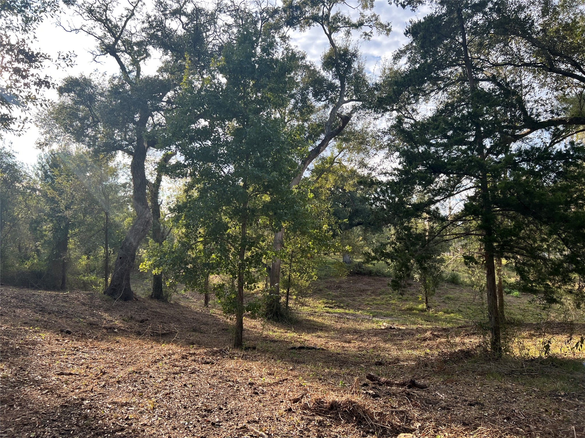 0 Cr-525, Sweeny, TX 77480
