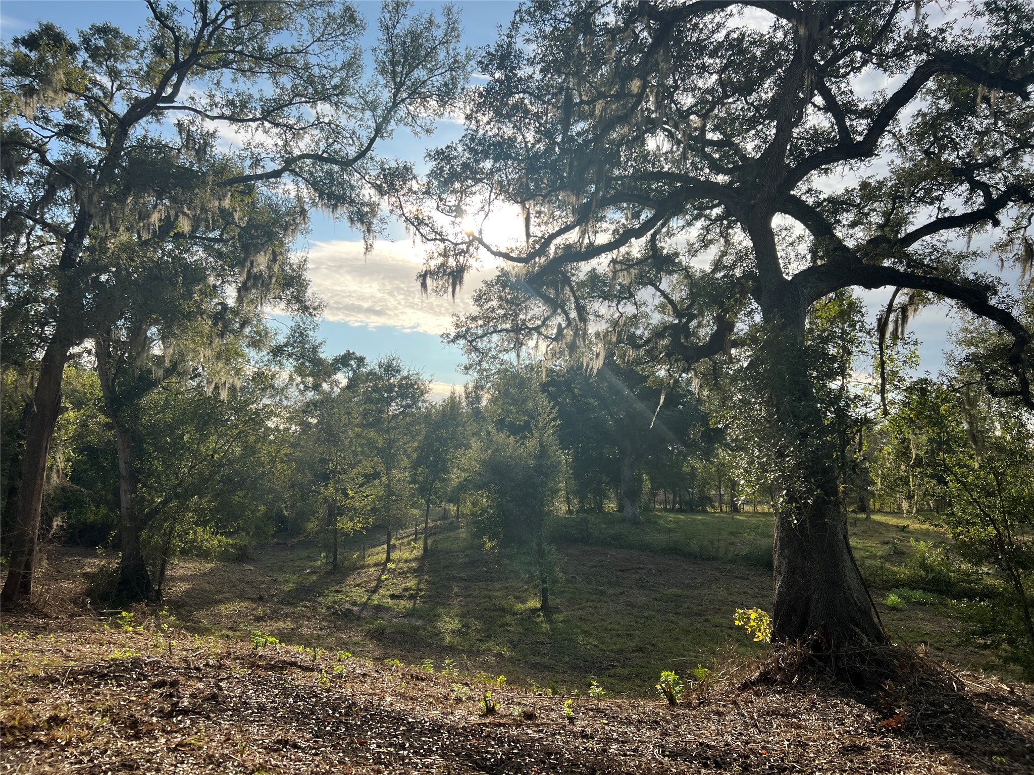 0 Cr-525, Sweeny, TX 77480