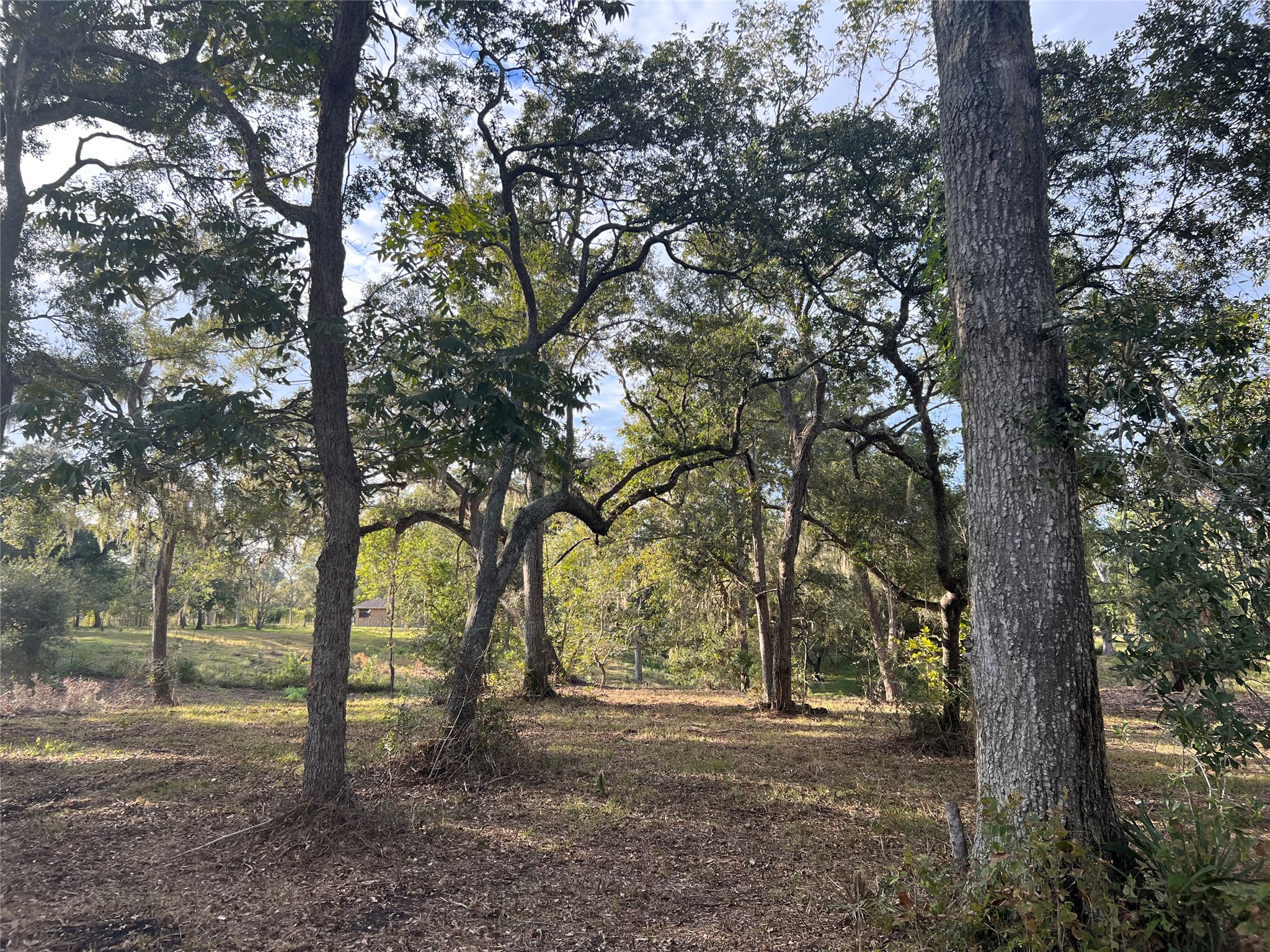 0 Cr-525, Sweeny, TX 77480