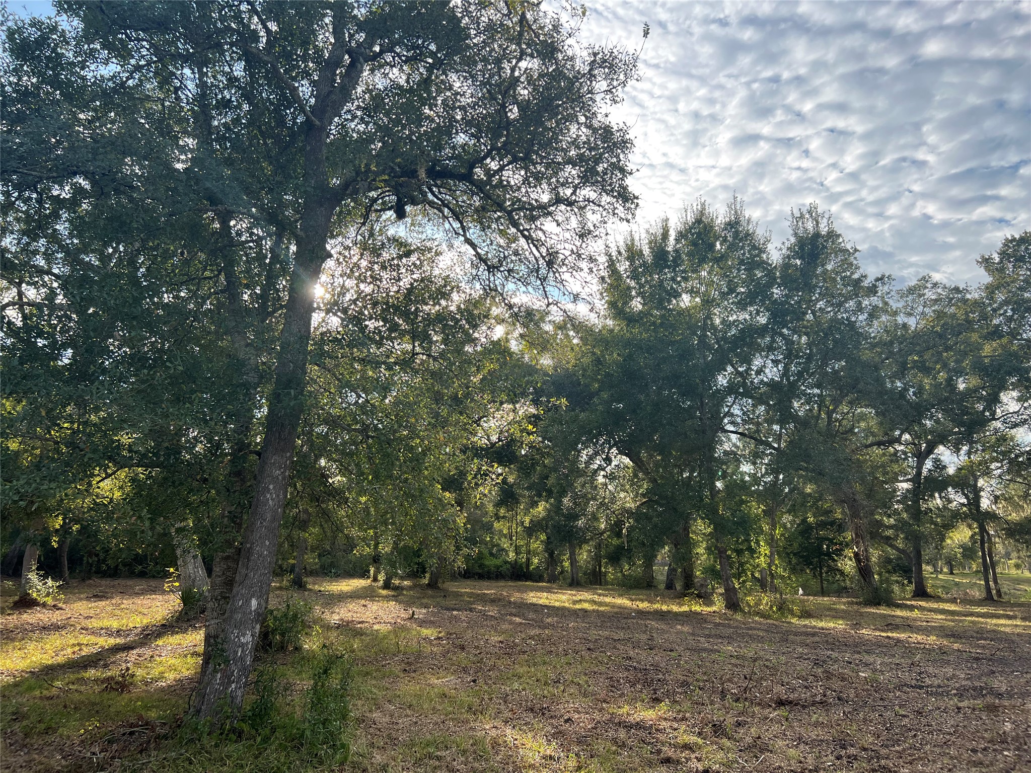 0 Cr-525, Sweeny, TX 77480