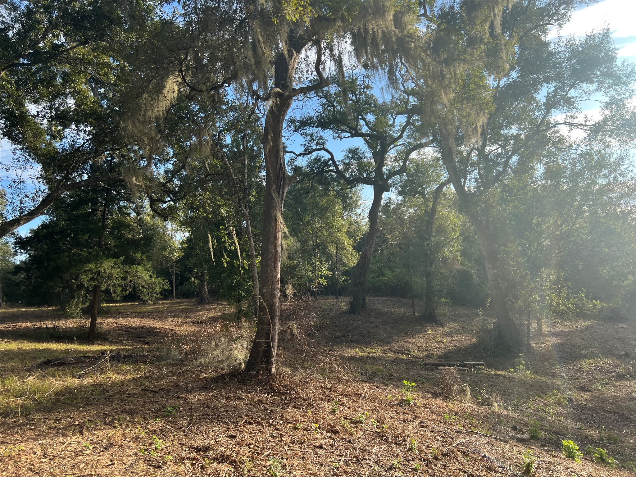 0 Cr-525, Sweeny, TX 77480