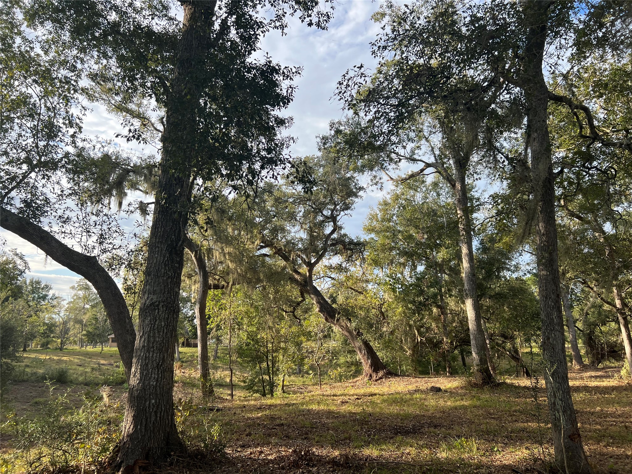 0 Cr-525, Sweeny, TX 77480
