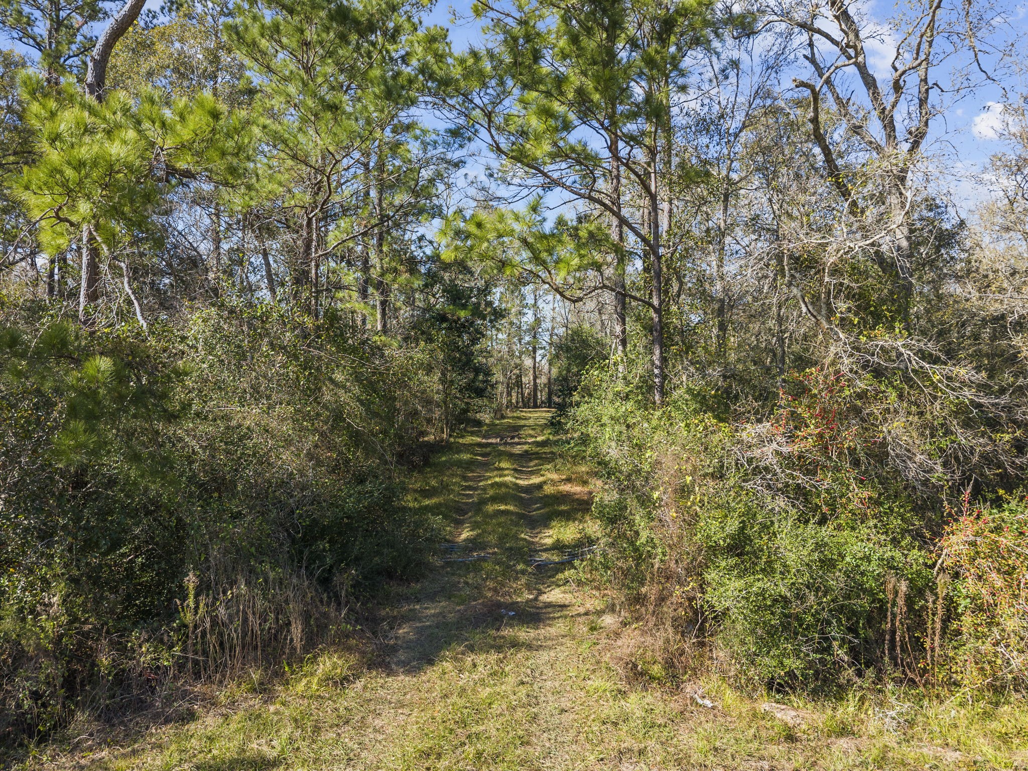 0 Highway 35, Alvin, TX 77511