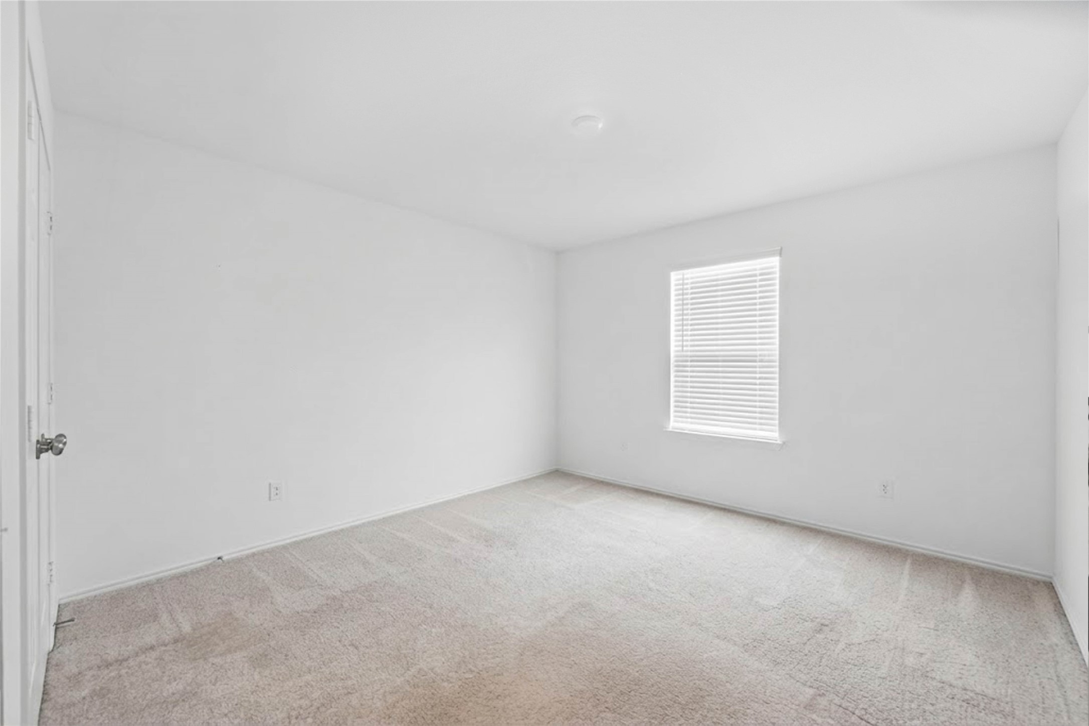 14502 Andover Birch Drive, Rosharon, TX 77583