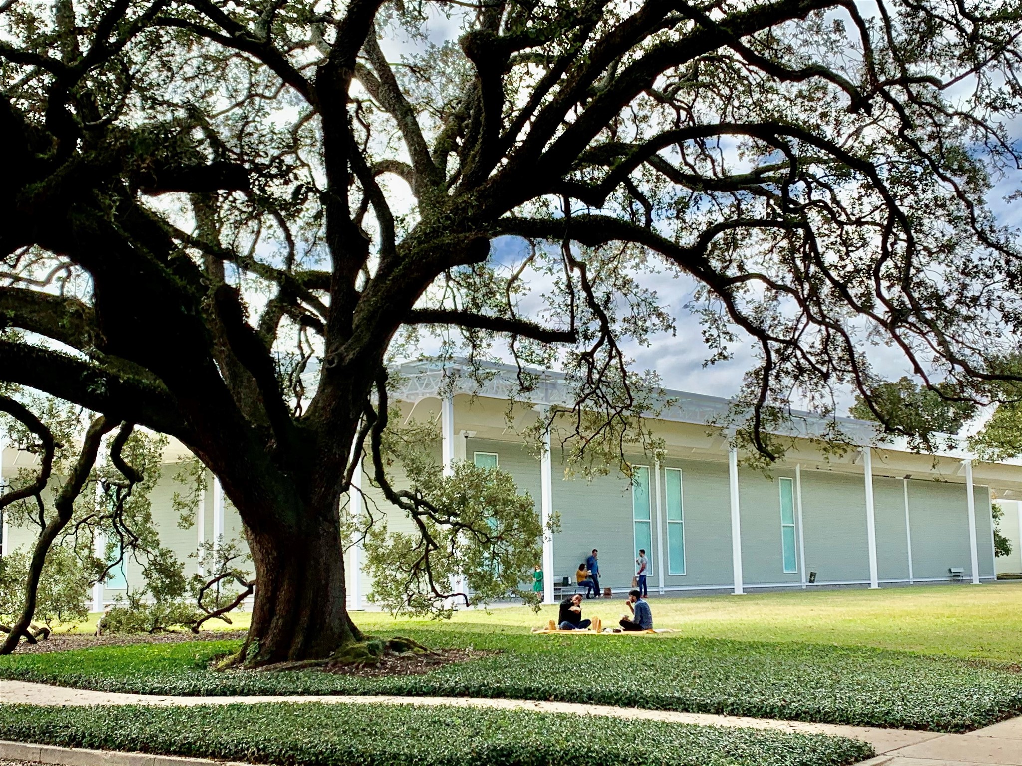 A short distance to Houston's amazing Museum District