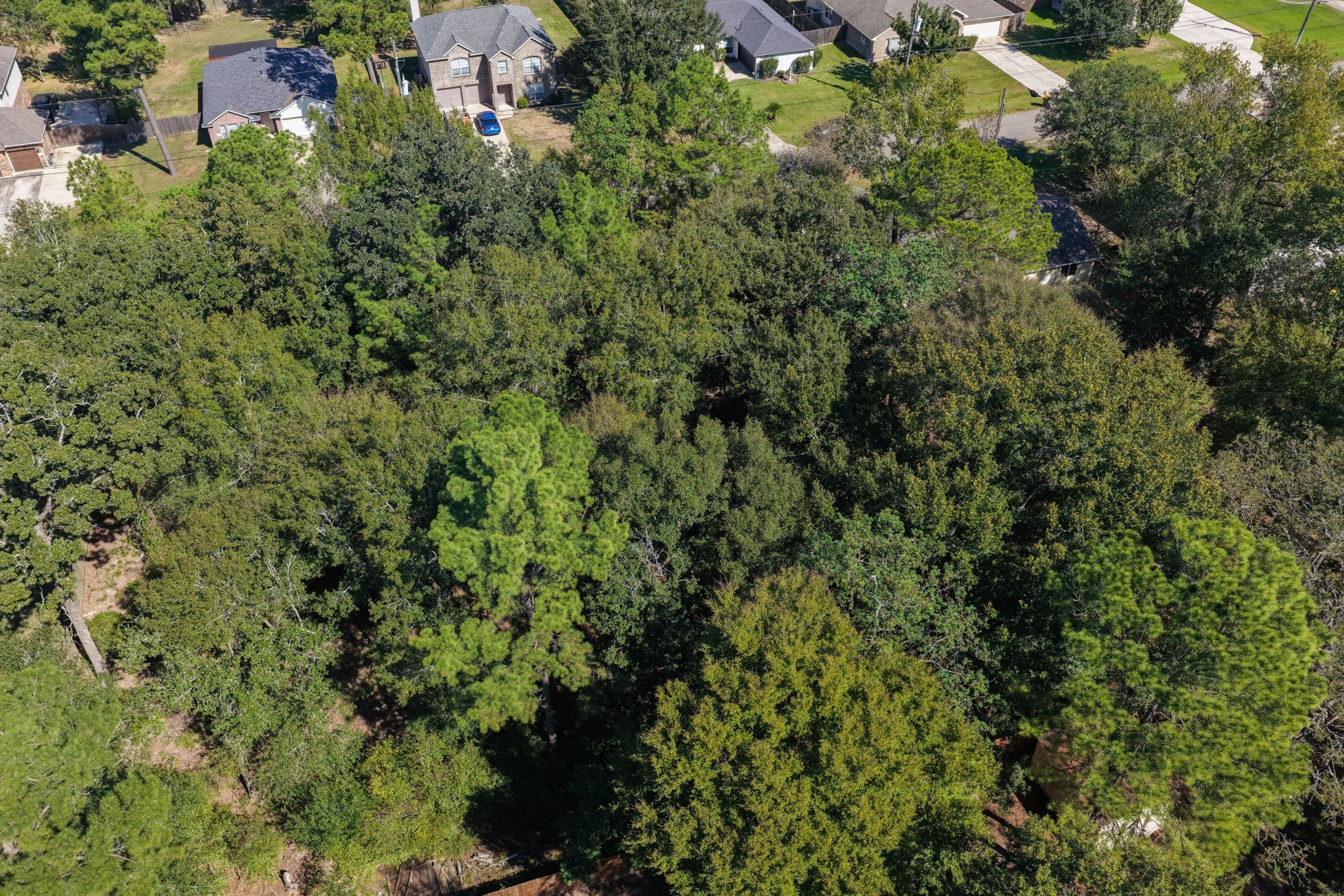6621 Grant, Magnolia, TX 77354