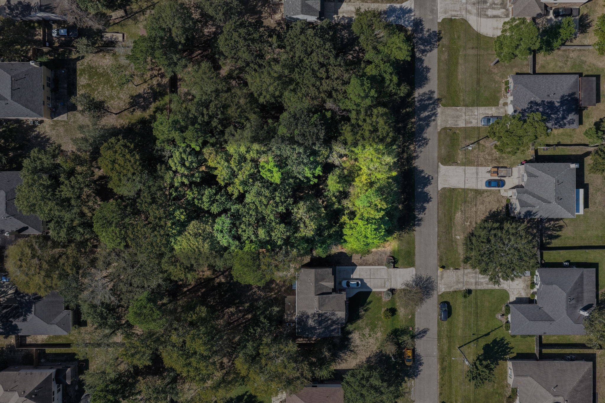 6621 Grant, Magnolia, TX 77354