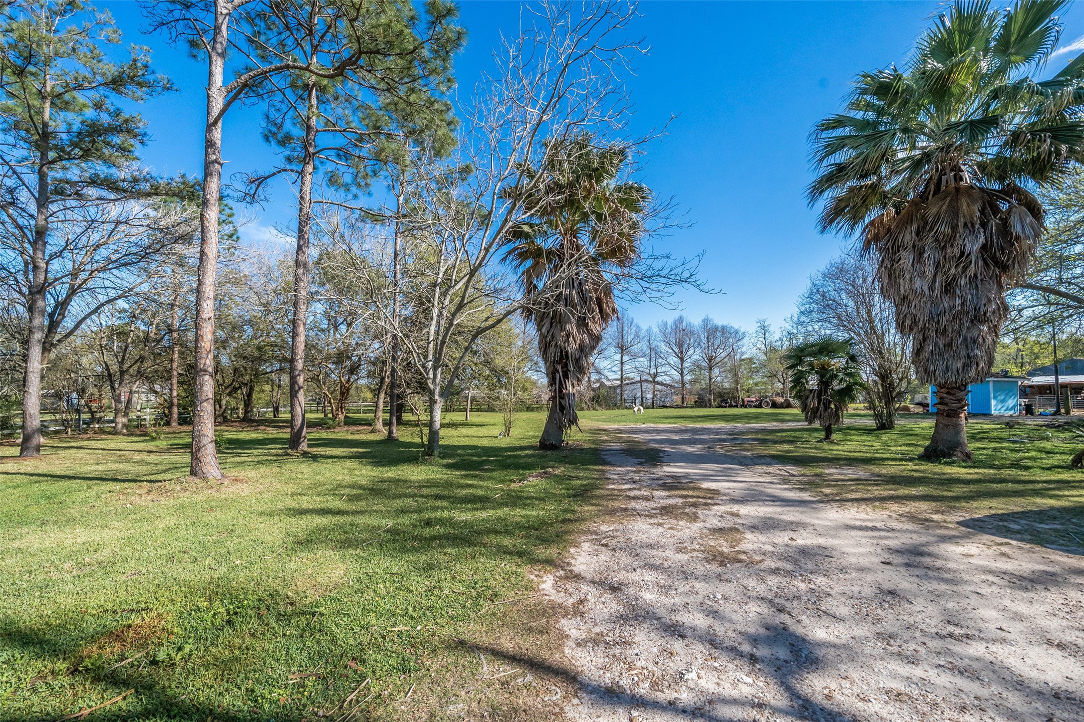 Plenty of space for parking on circle gravel drive