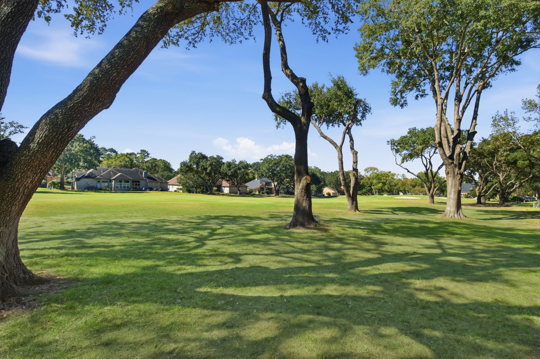 162 Dawns Edge Drive, Conroe, TX 77356