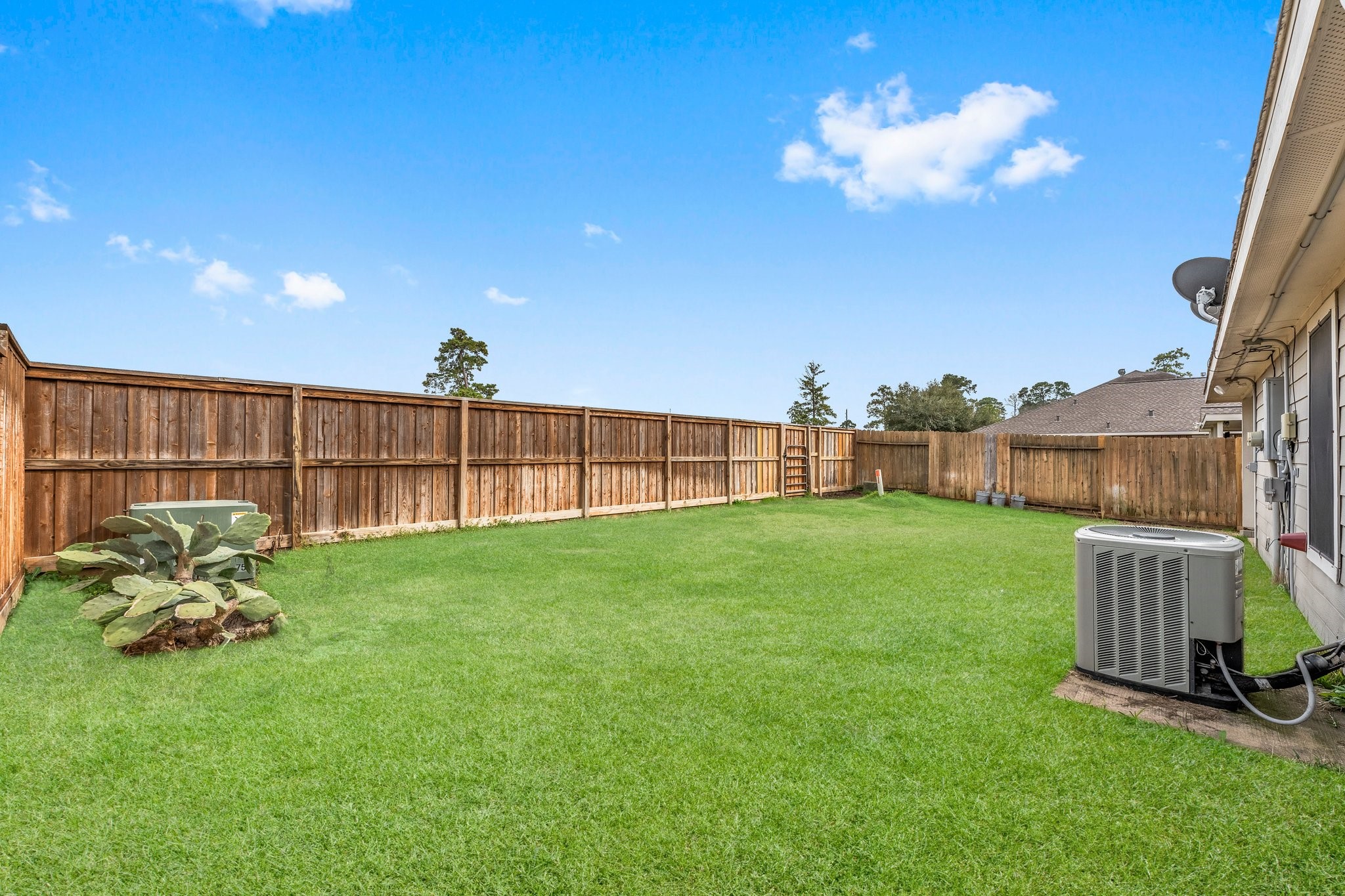 22014 Briarvine Court, Spring, TX 77389