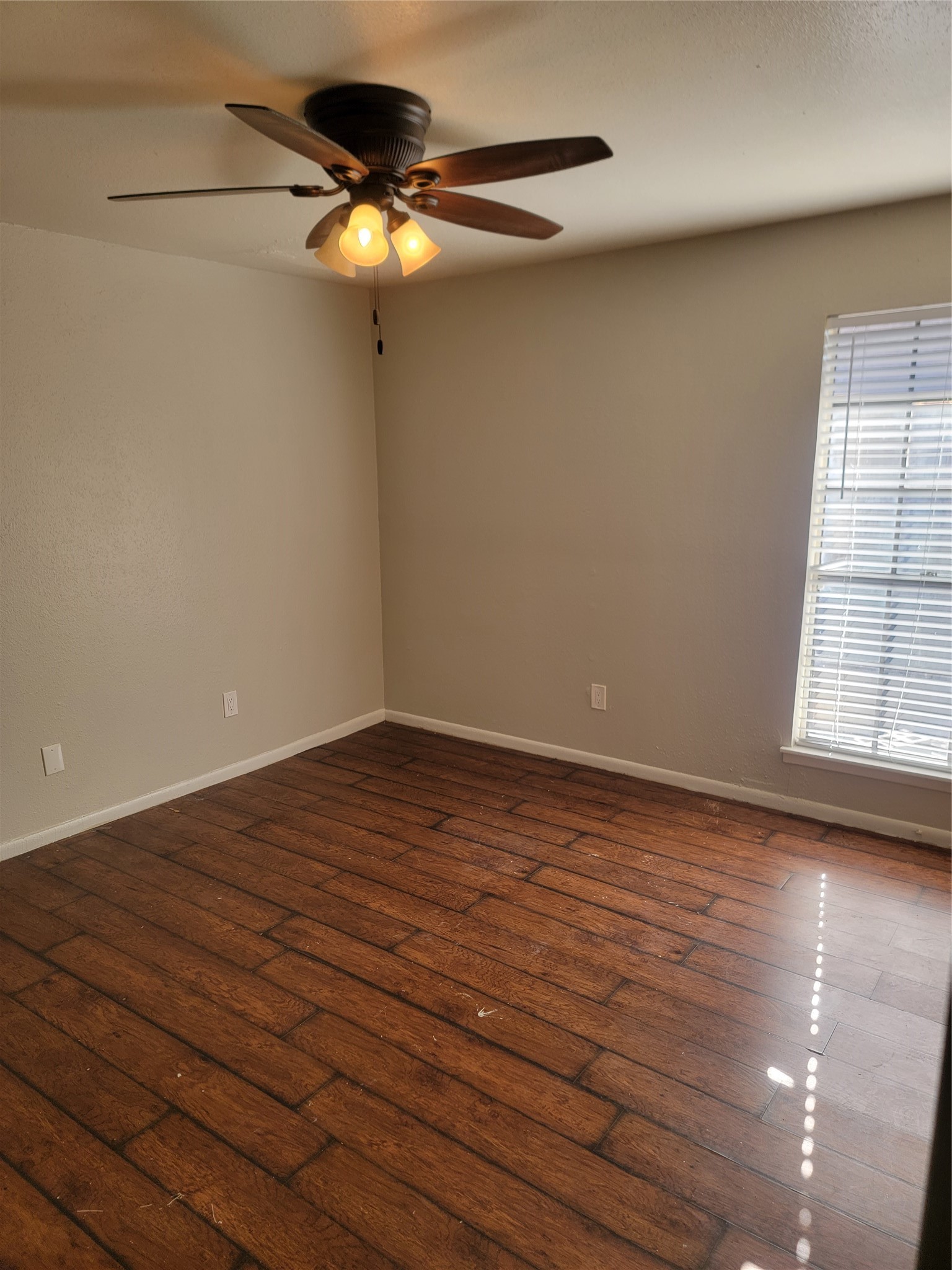 8901 S Braeswood Boulevard, #107, Houston, TX 77074