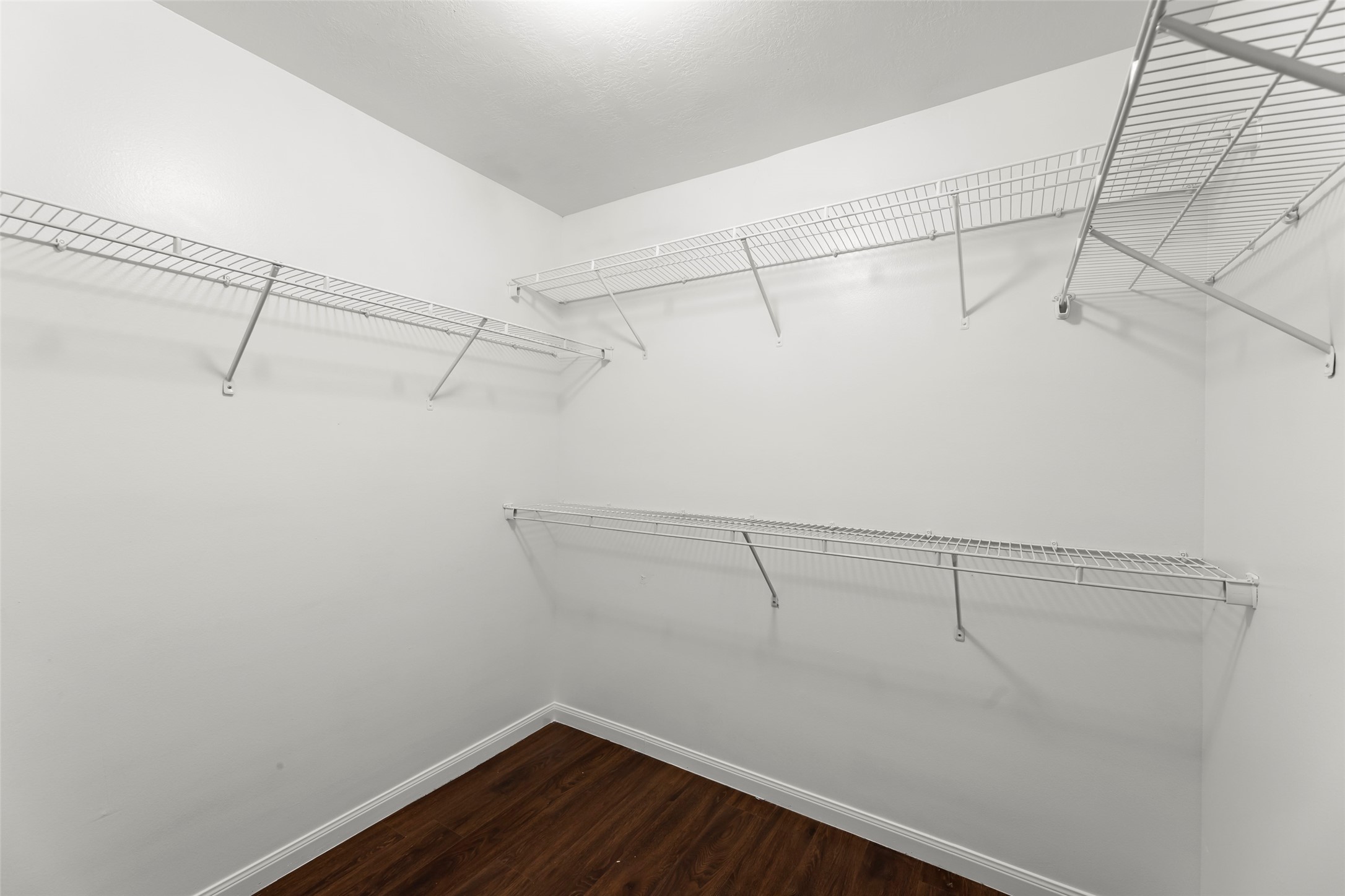 16410 Pademelon, Sugar Land, TX 77498