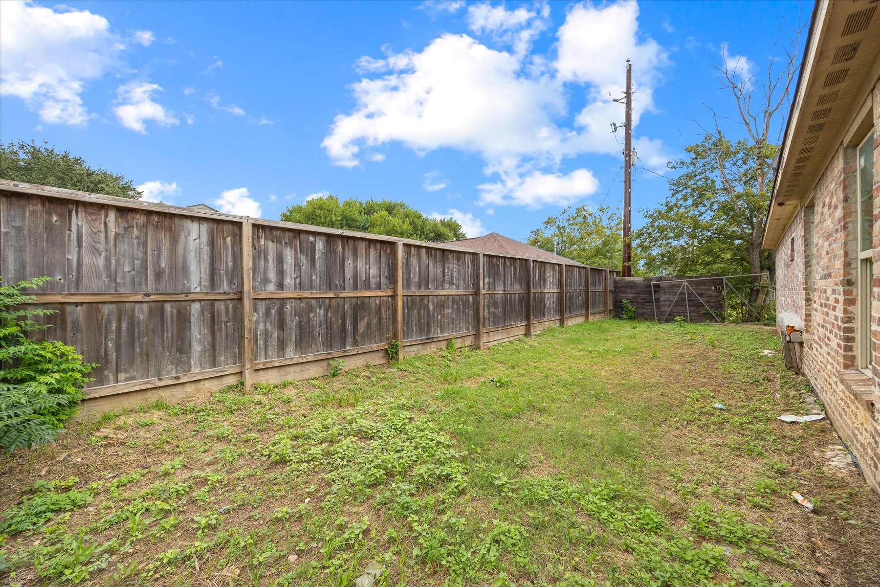 Backyard