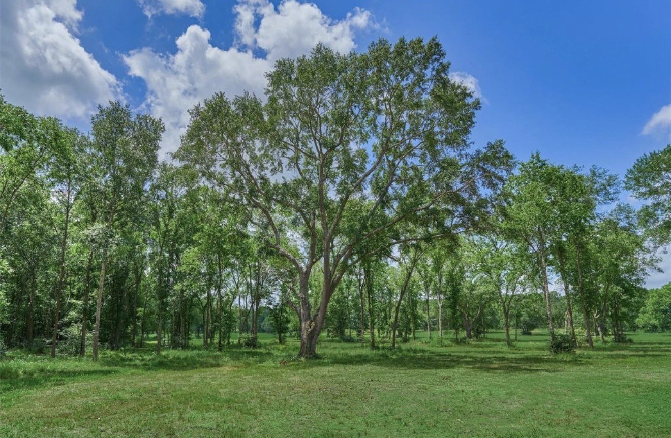 Majestic Oaks and hardwoods dot this spectacular country property.