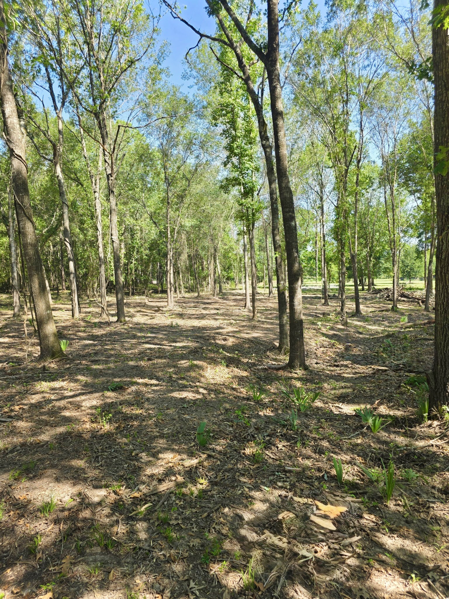 Tract A Sharpwest Trail, Montgomery, TX 77316