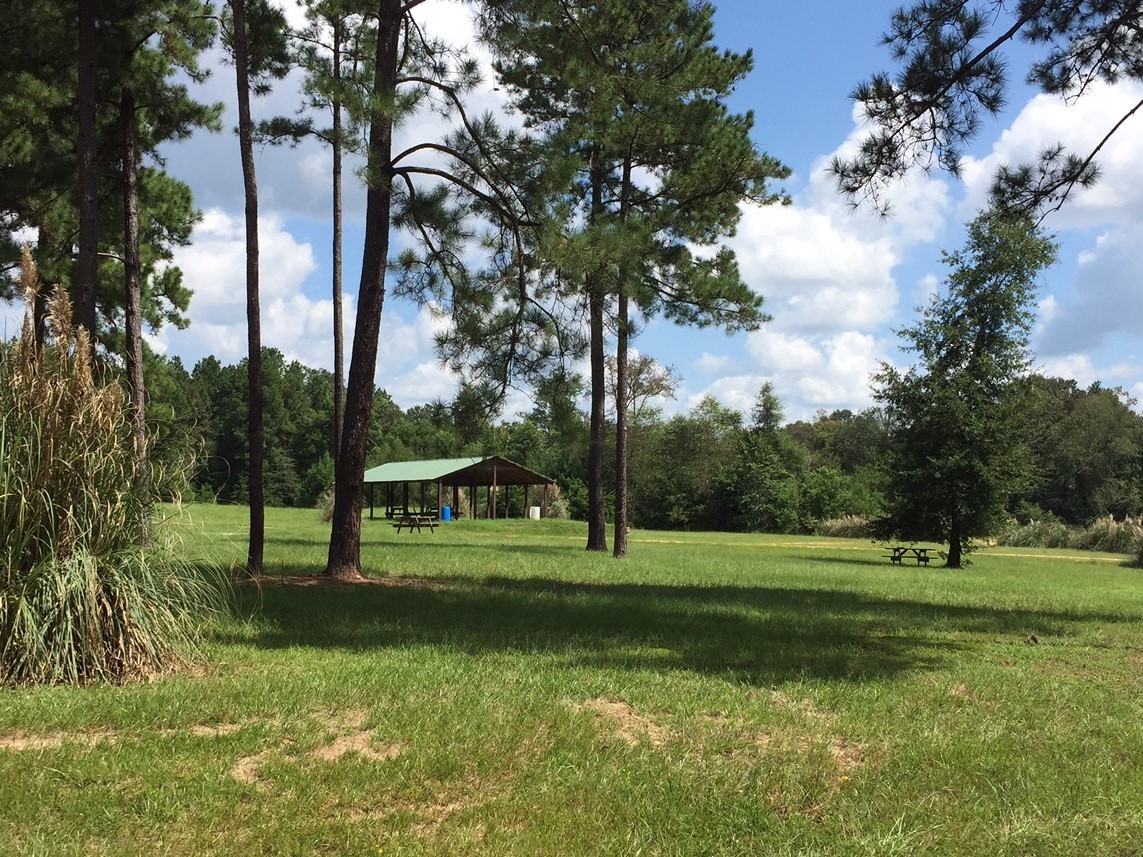0 Bambi Court, Cleveland, TX 77328