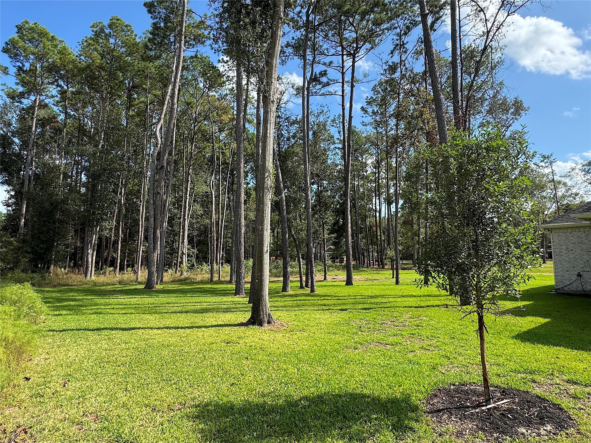 28510 Tallow Rock Lane, Huffman, TX 77336