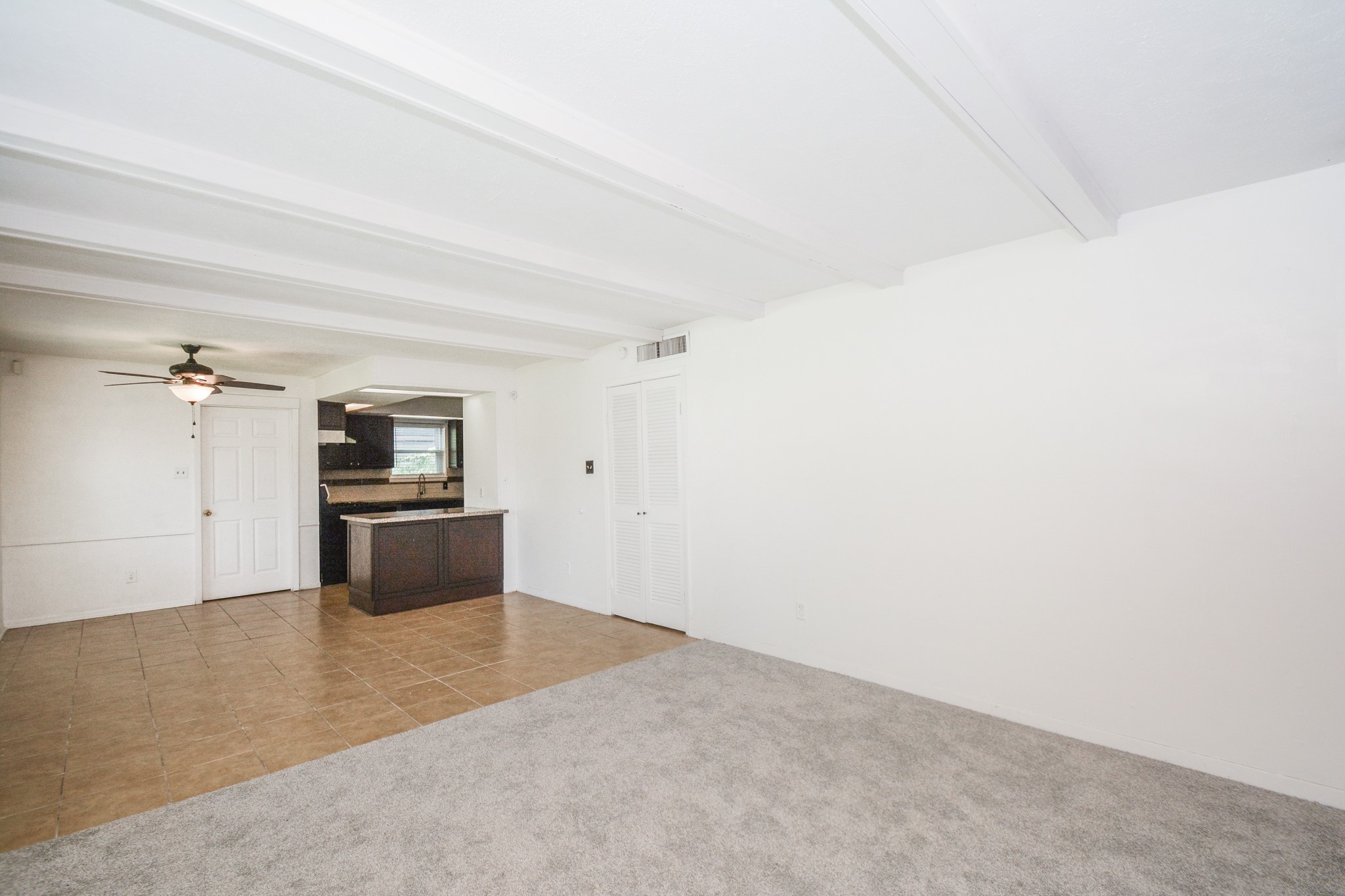 Open comcept living and kitchen area