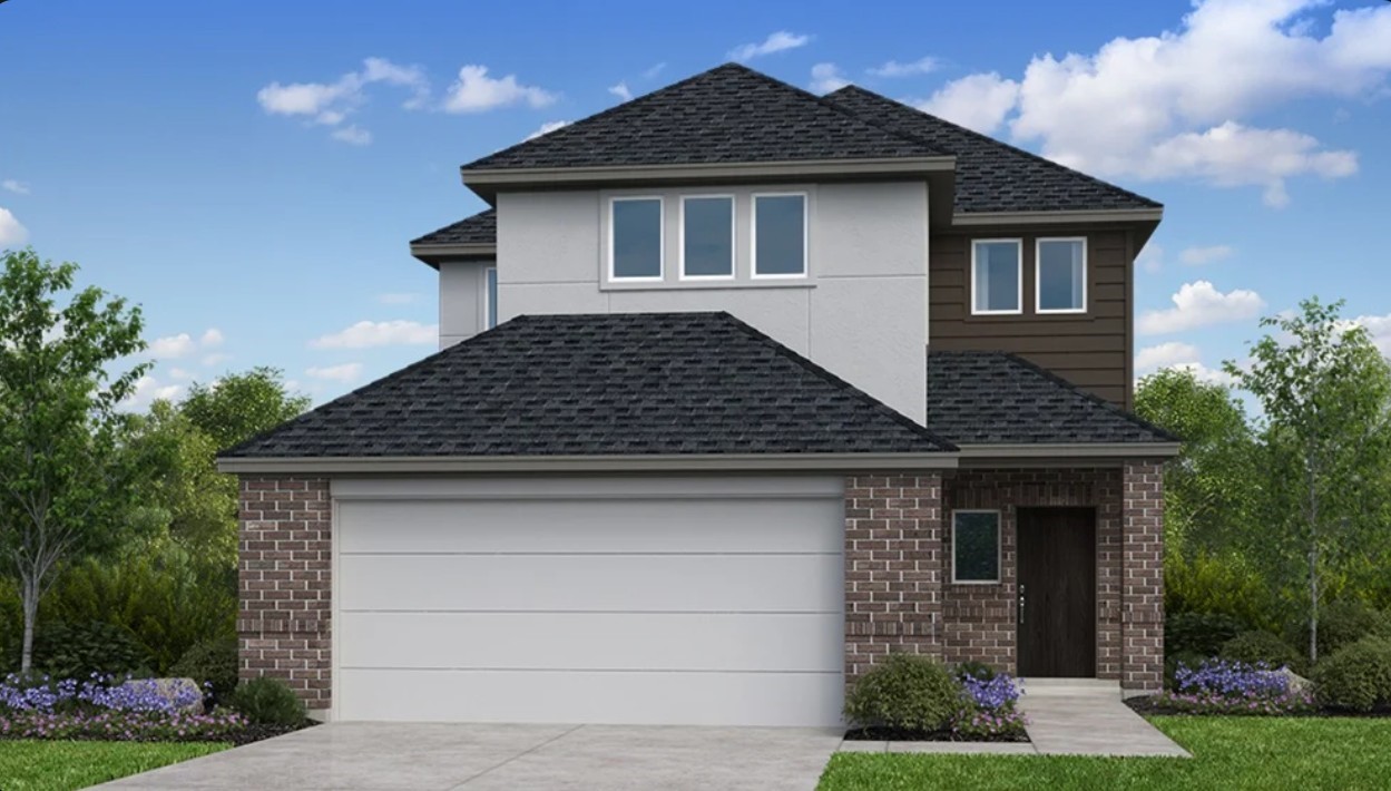 Paisley Rendering