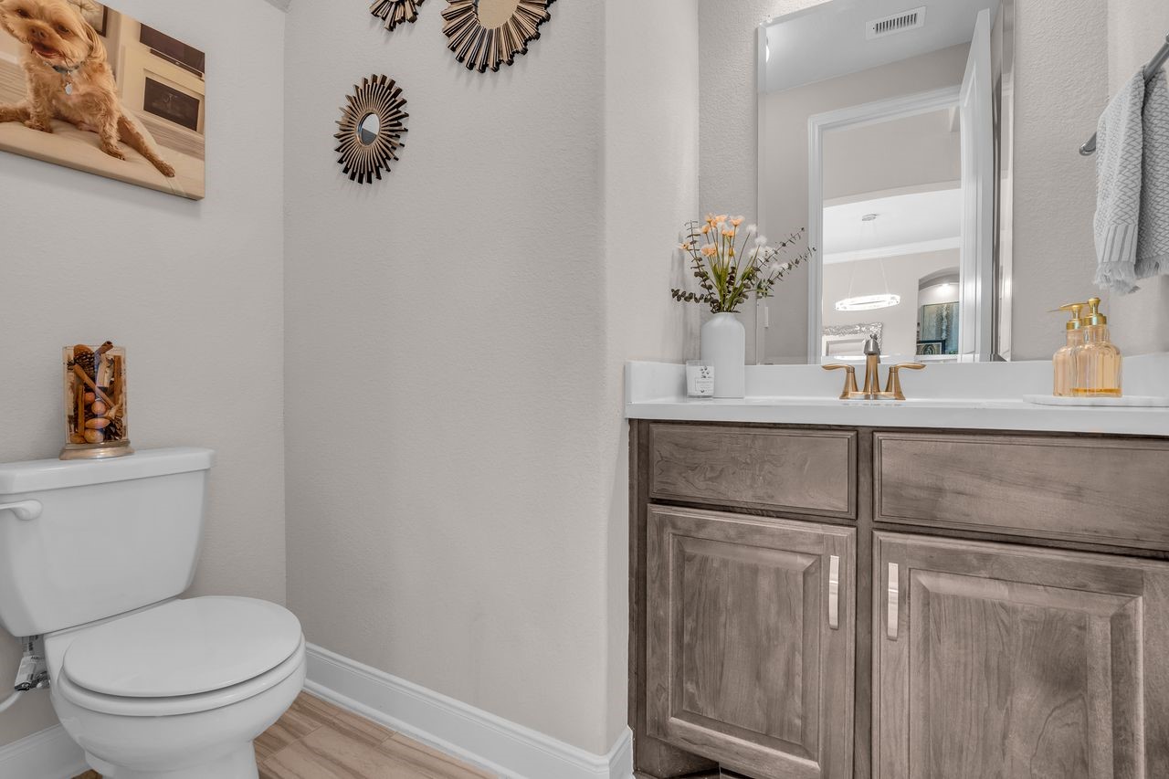 10415 Roseate Skimmer, Conroe, TX 77385