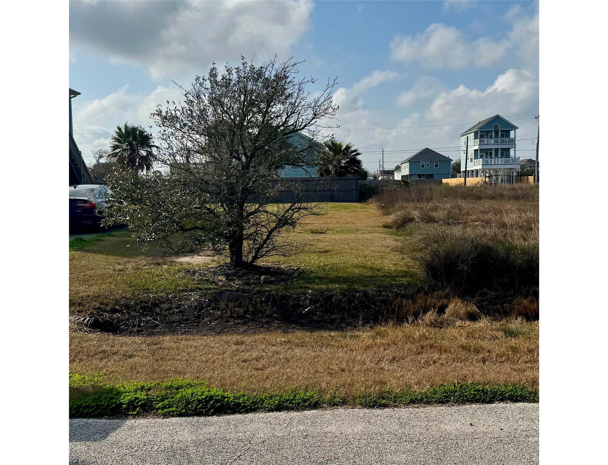 This photo shows a grassy vacant lot with a lone tree in the center, surrounded by a few houses and a fence. The lot is across the street from the waterfront. This photo shows a grassy vacant lot with a lone tree in the center, surrounded by a few houses and a fence. The lot is across the street from the waterfront.