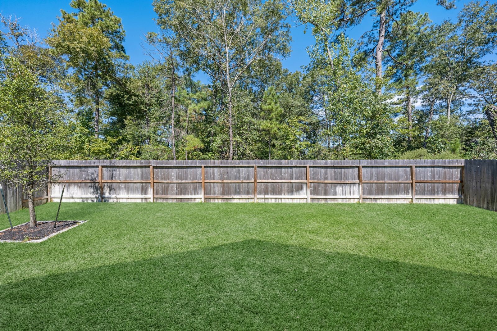 25515 Greenwood Canyon Drive, Cleveland, TX 77328