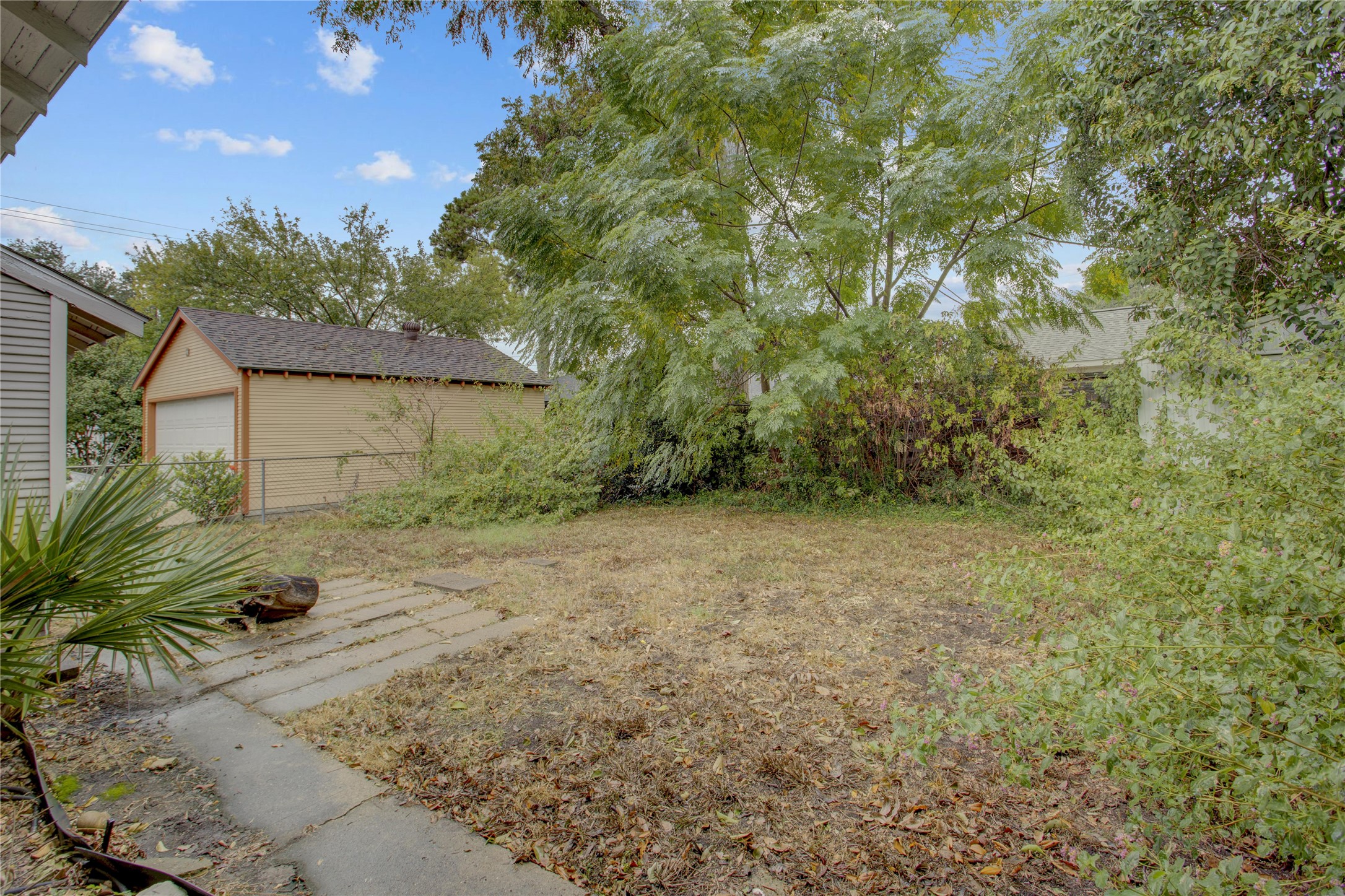 Backyard.