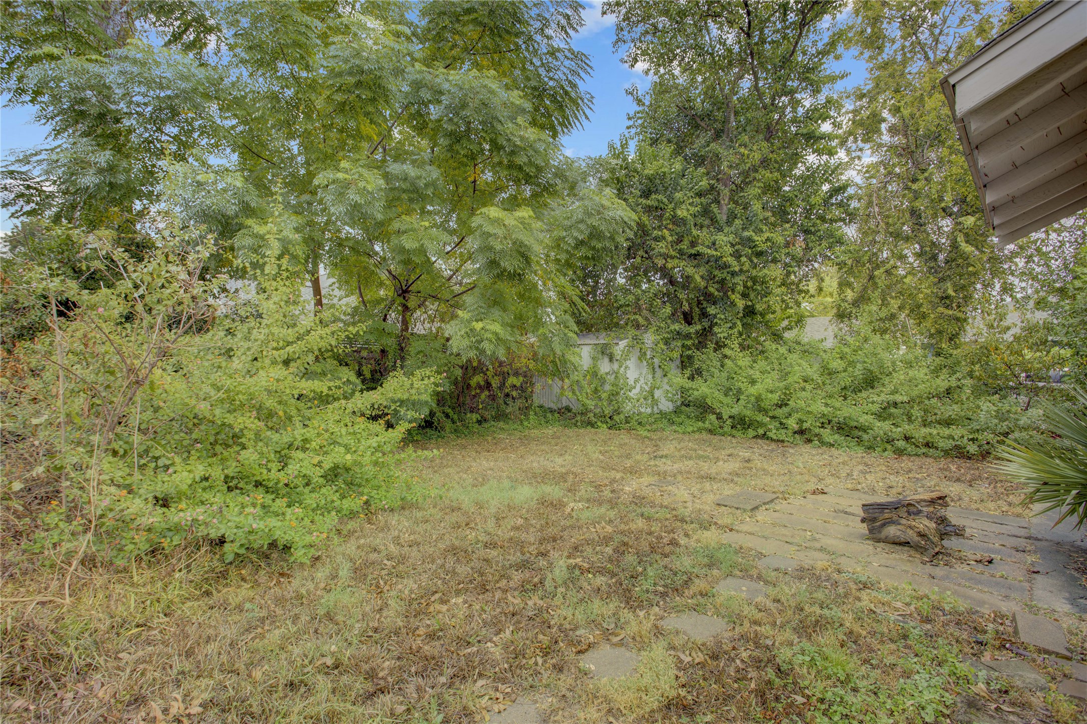 Backyard