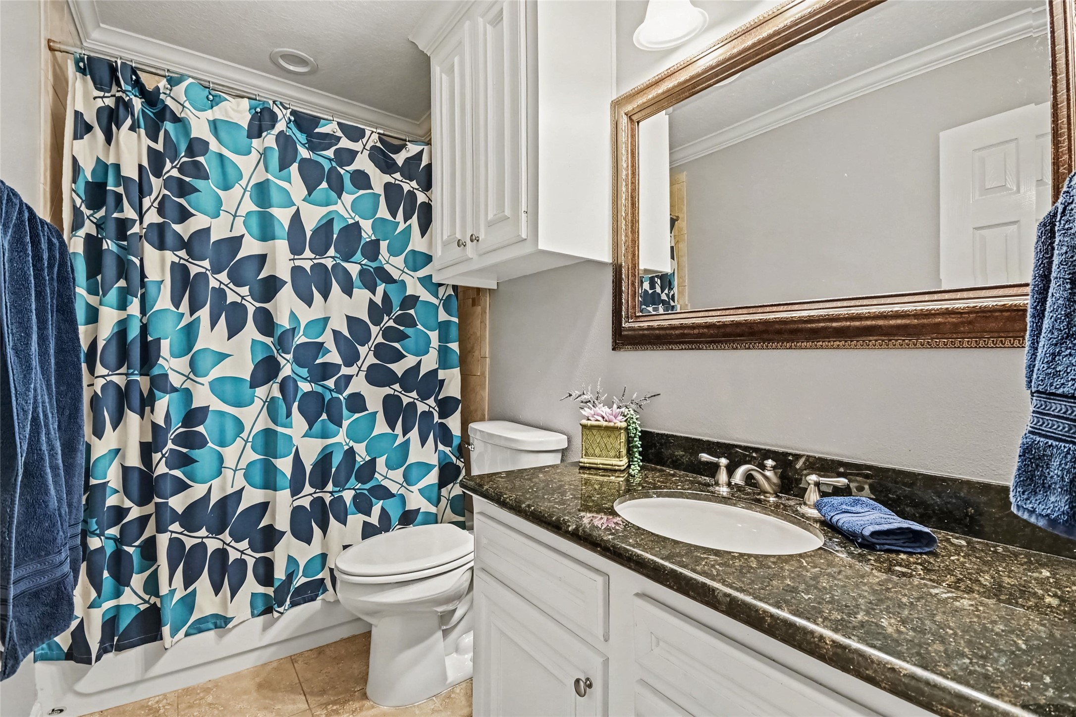 Hall bath has tub/shower combo, granite countertops and crown molding and elevated toilet
