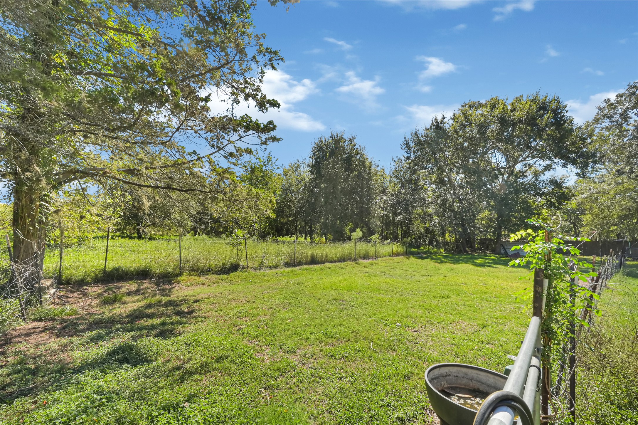 Sprawling green lawn with mature trees and a fenced boundary, perfect for outdoor activities or pets to roam freely.