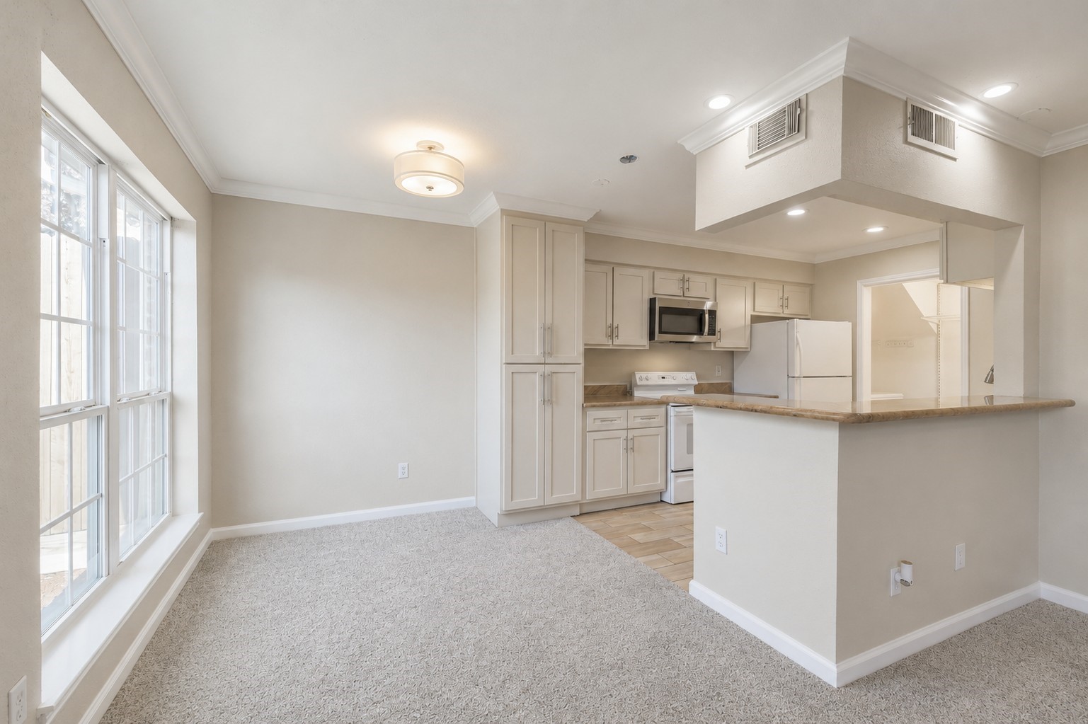 Kitchen & Breakfast Area