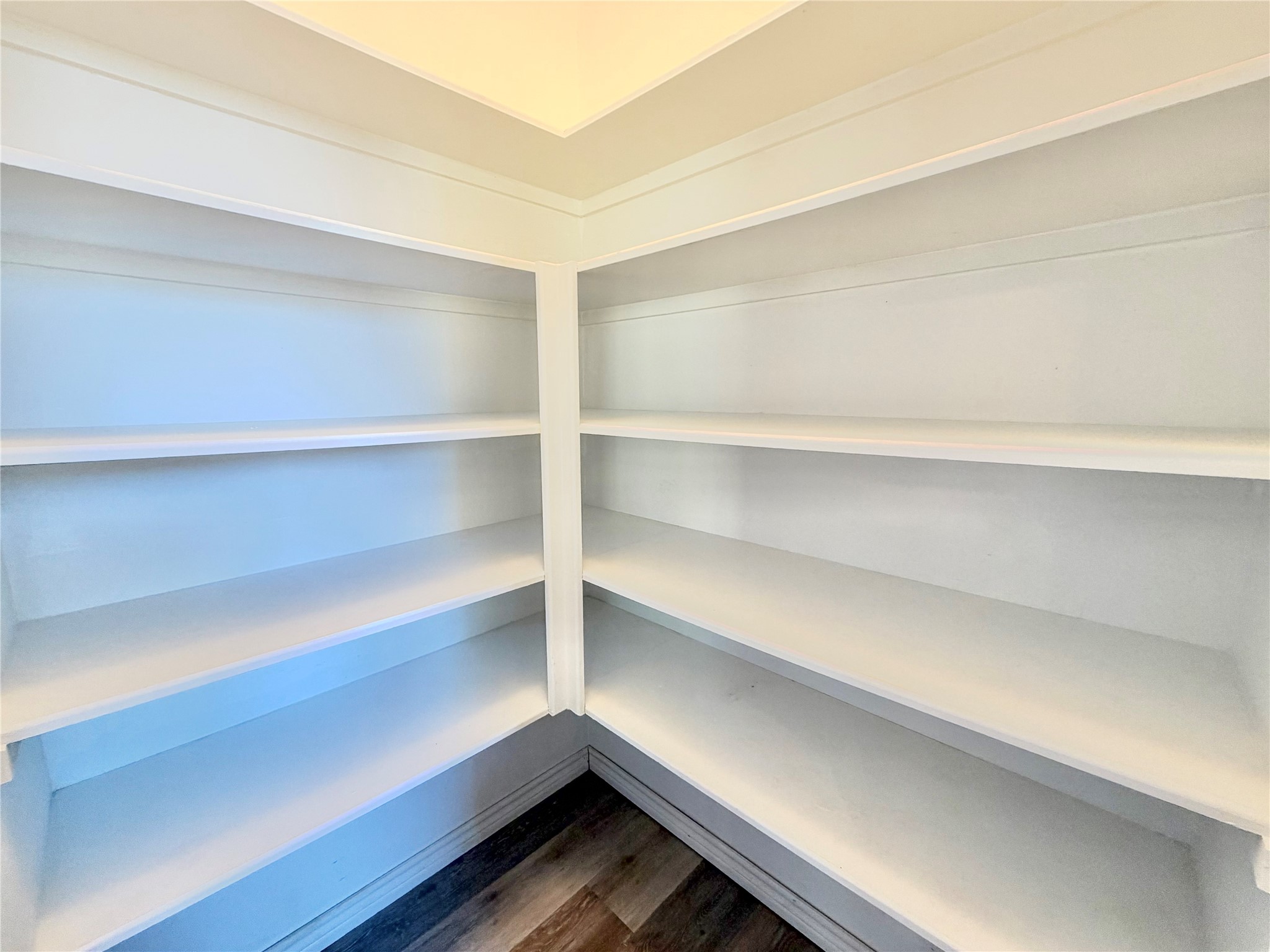 Large walk-in Pantry