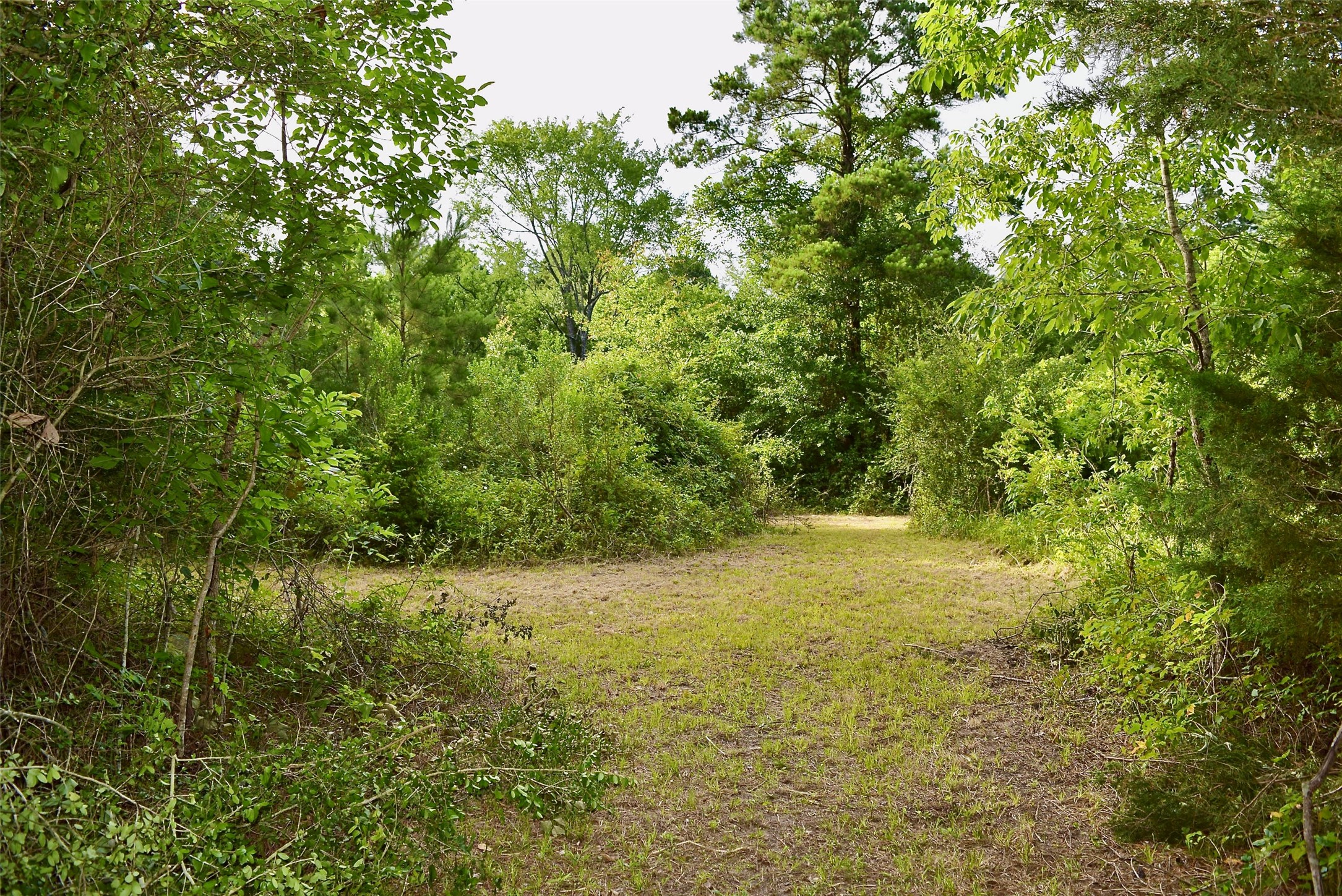 TBD Sharp Road, Montgomery, TX 77356