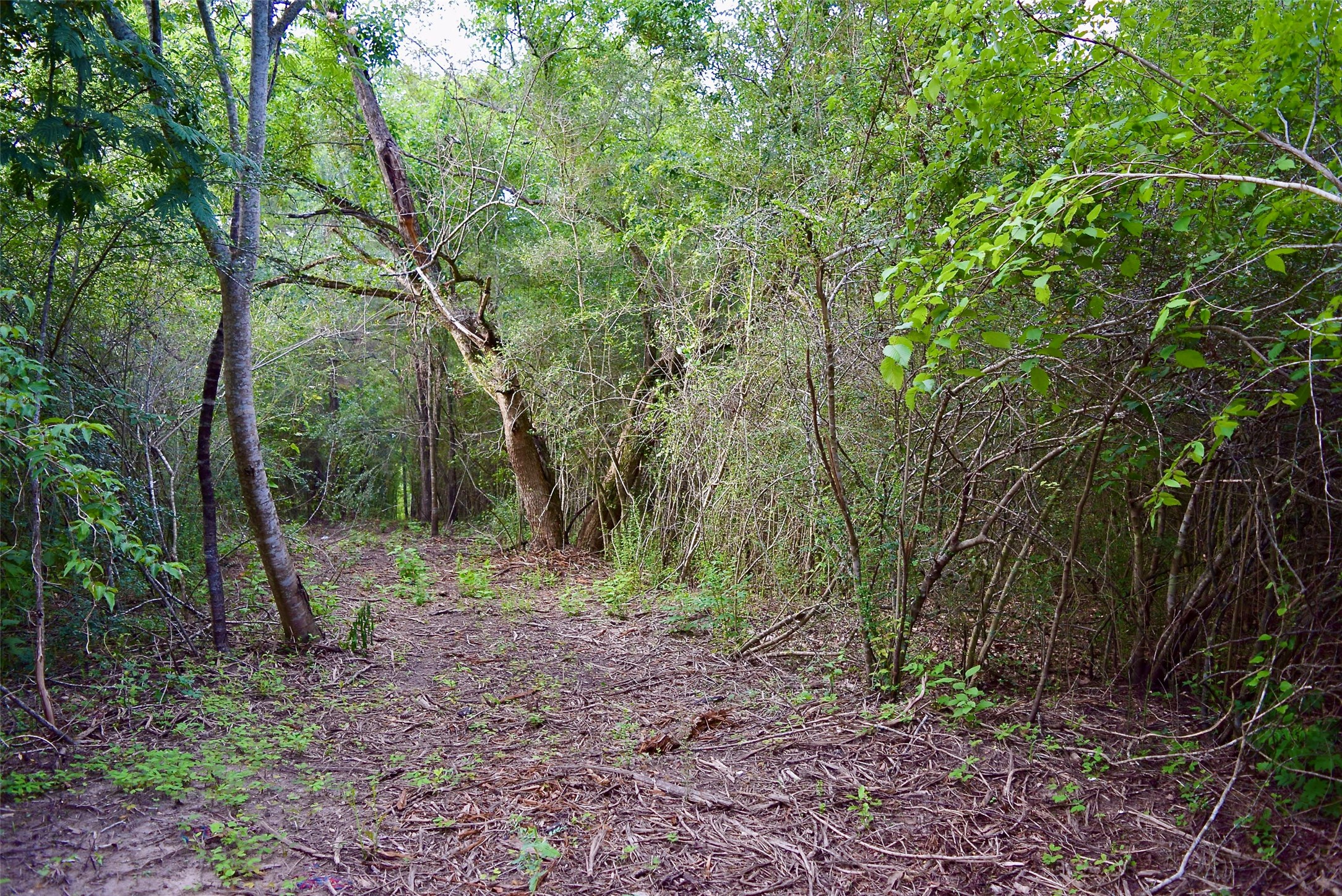 TBD Sharp Road, Montgomery, TX 77356