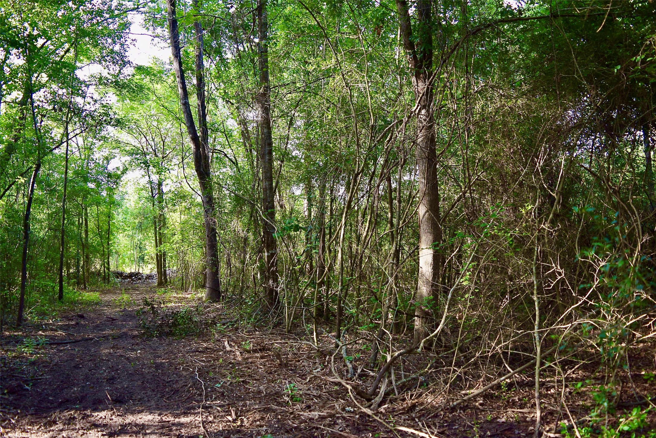 TBD Sharp Road, Montgomery, TX 77356