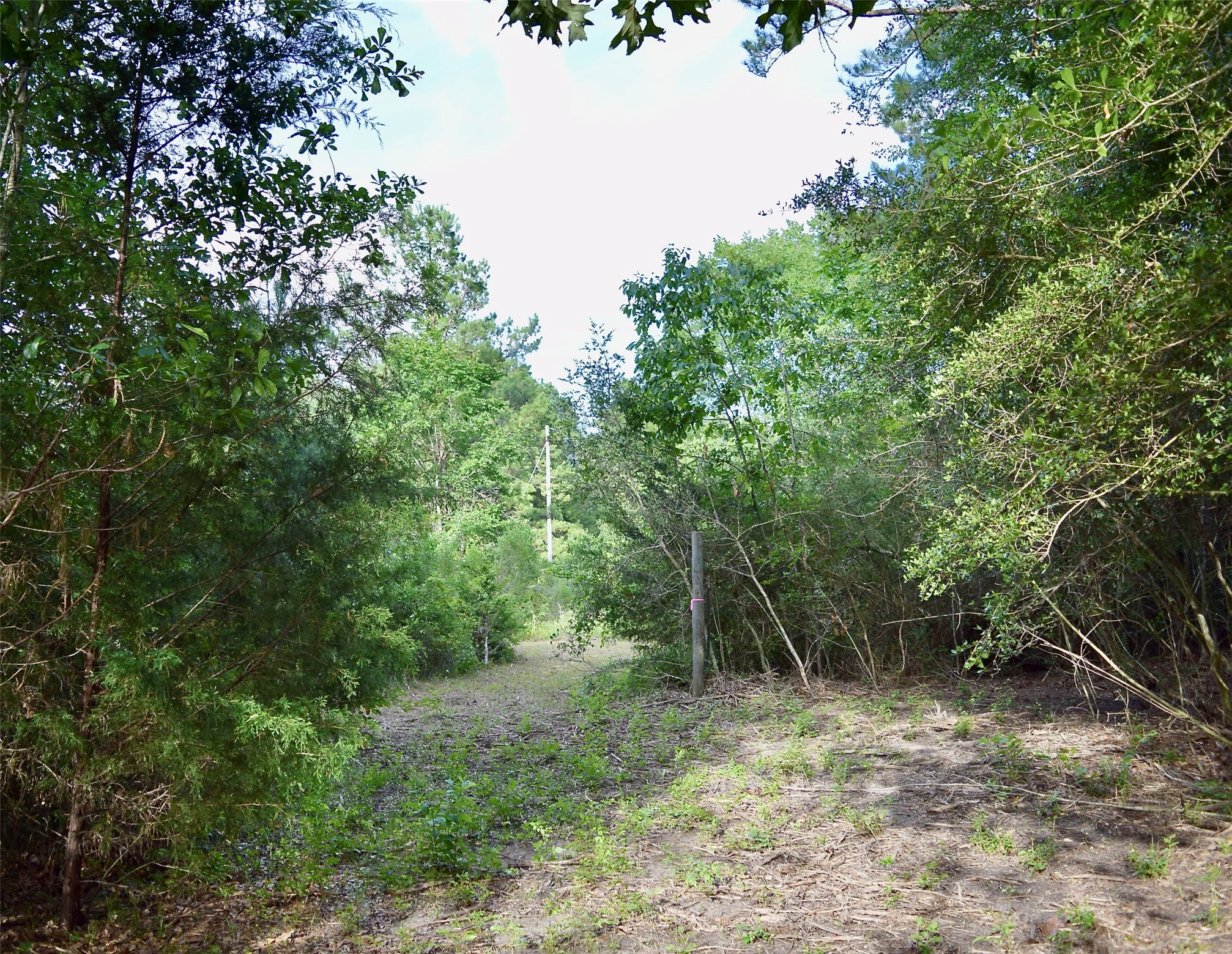 TBD Sharp Road, Montgomery, TX 77356