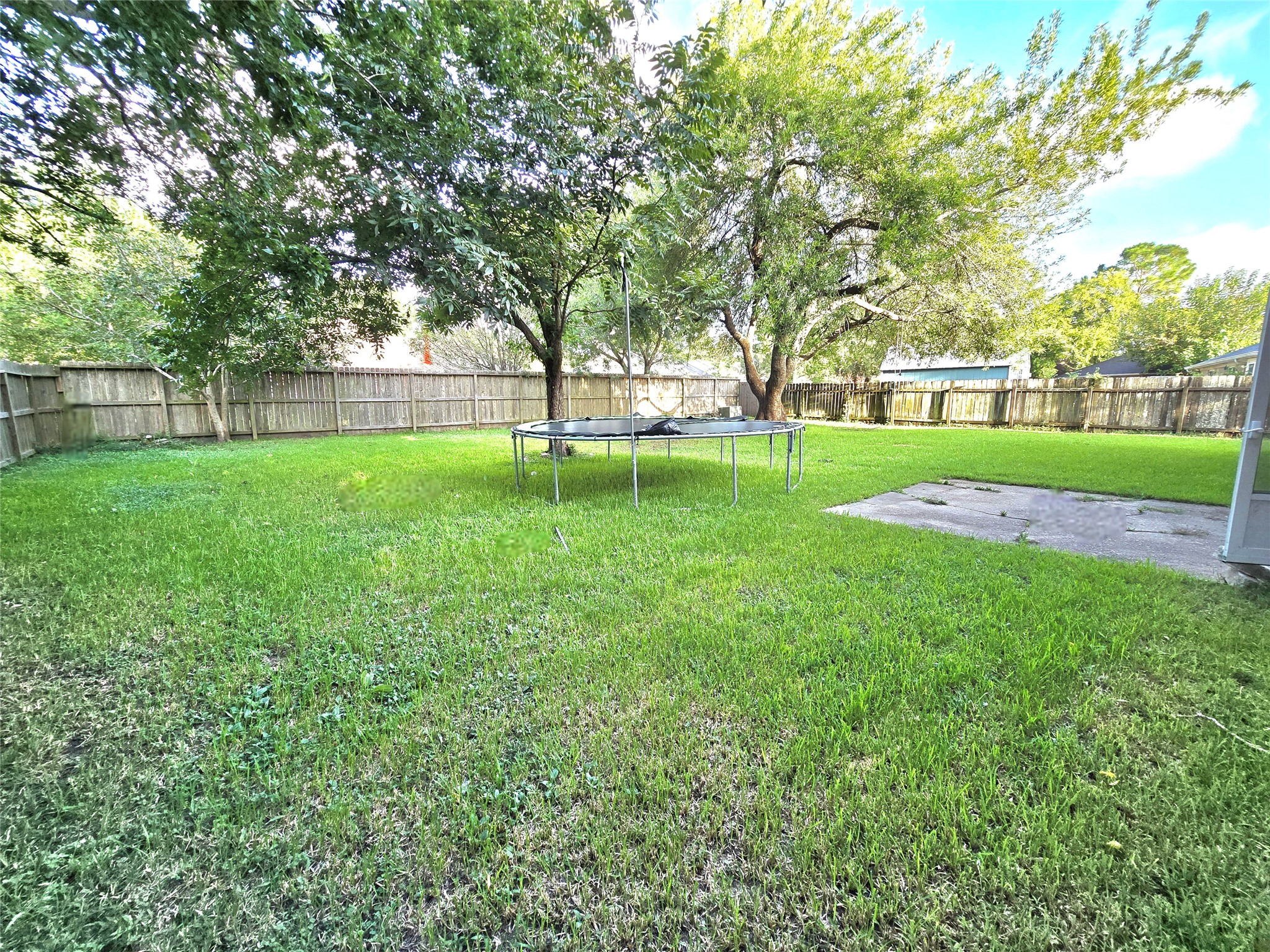 Expansive backyard with lush green grass and mature trees, perfect for outdoor activities and relaxation.
