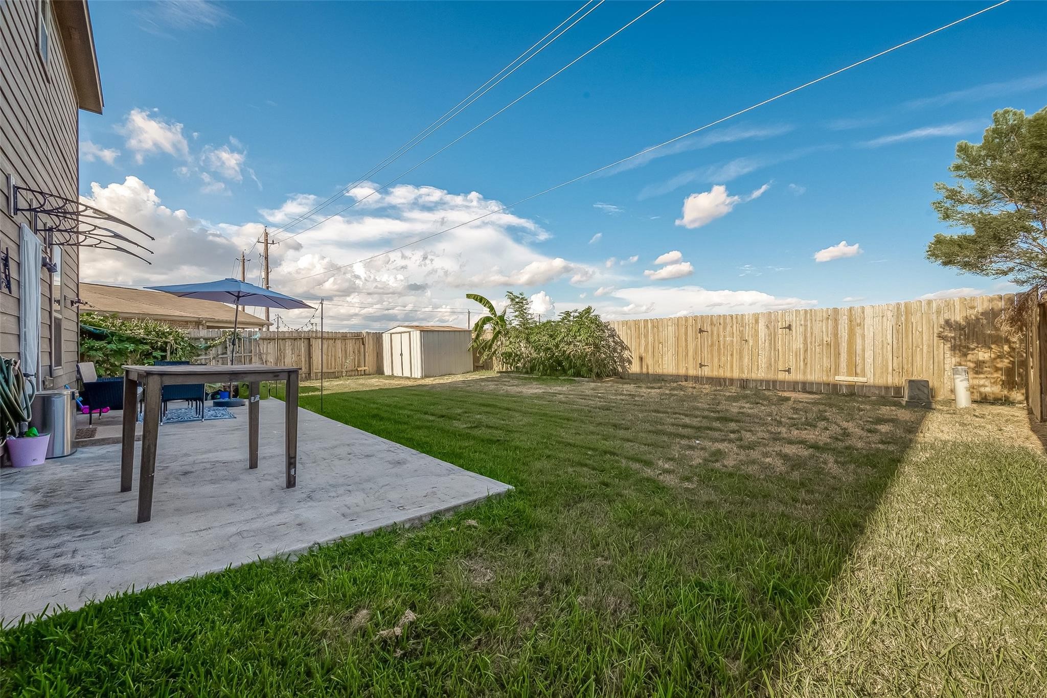 Backyard